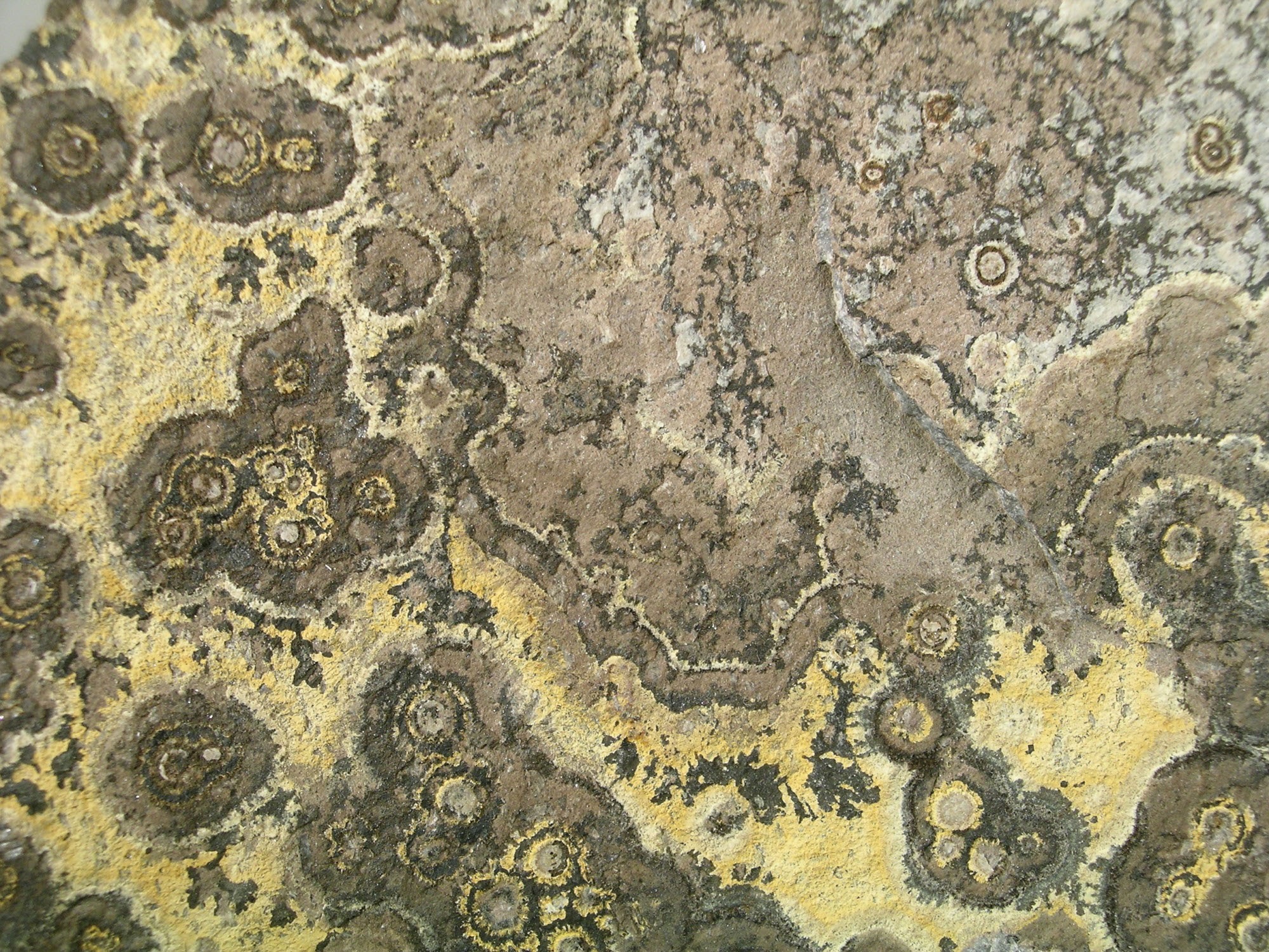 Goethit, mn-oxid (Herman Ottó Múzeum, Miskolc CC BY-NC-SA)