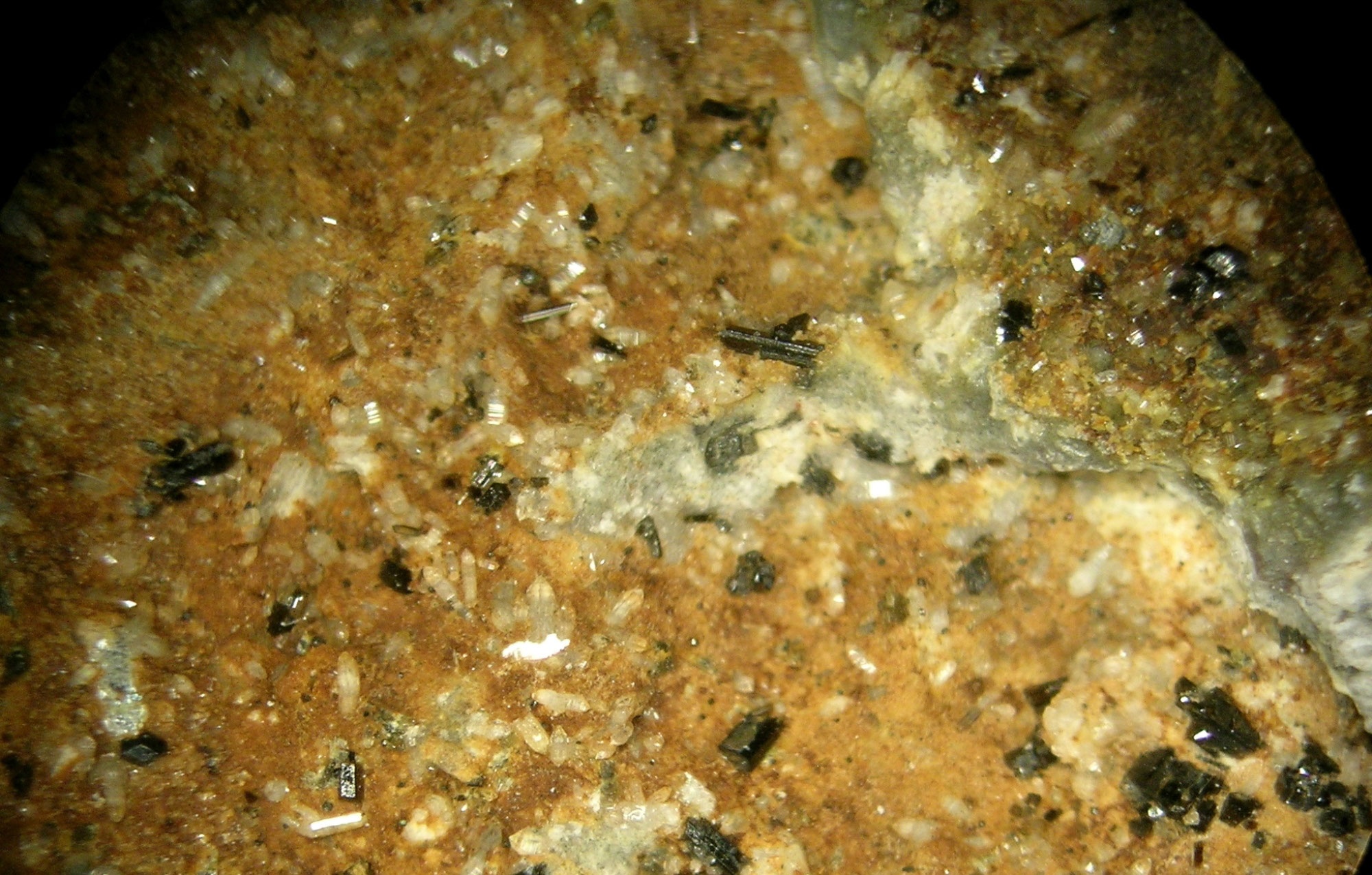 Piroxén, tridimit, magnetit, kvarc (Herman Ottó Múzeum, Miskolc CC BY-NC-SA)