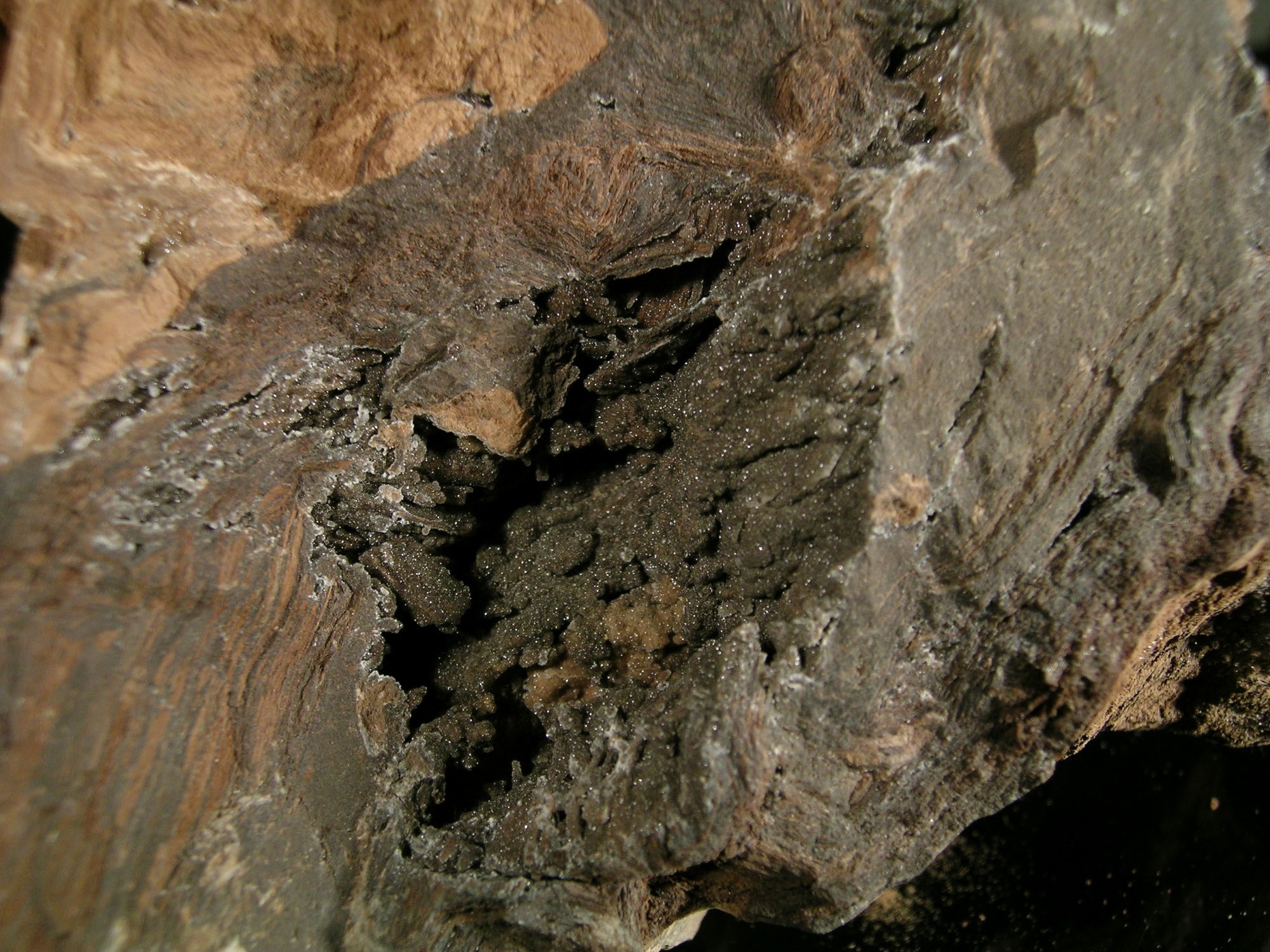 Kvarc (kalcedon) (Herman Ottó Múzeum, Miskolc CC BY-NC-SA)