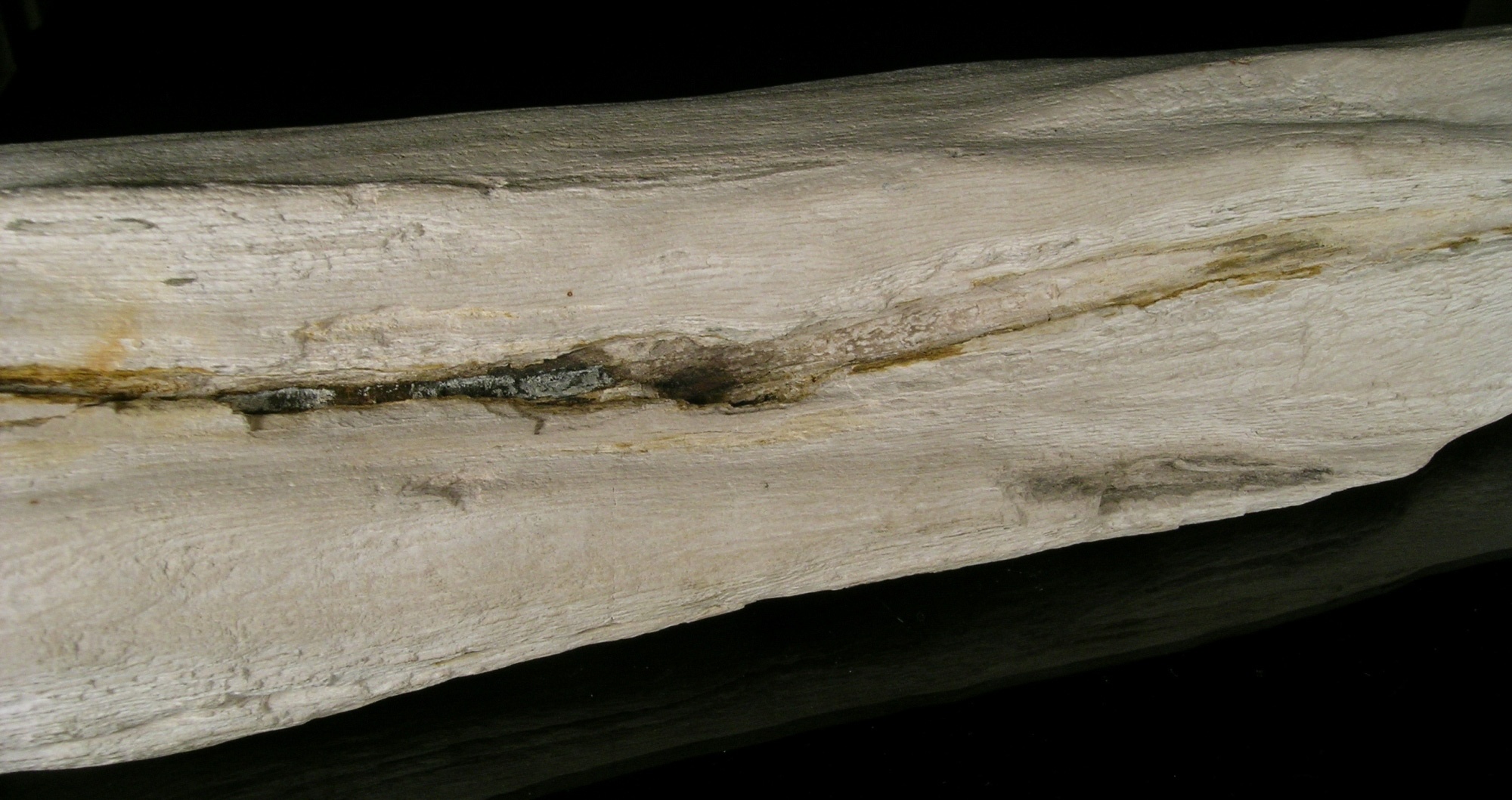Kvarc (kovásodott fa) (Herman Ottó Múzeum, Miskolc CC BY-NC-SA)