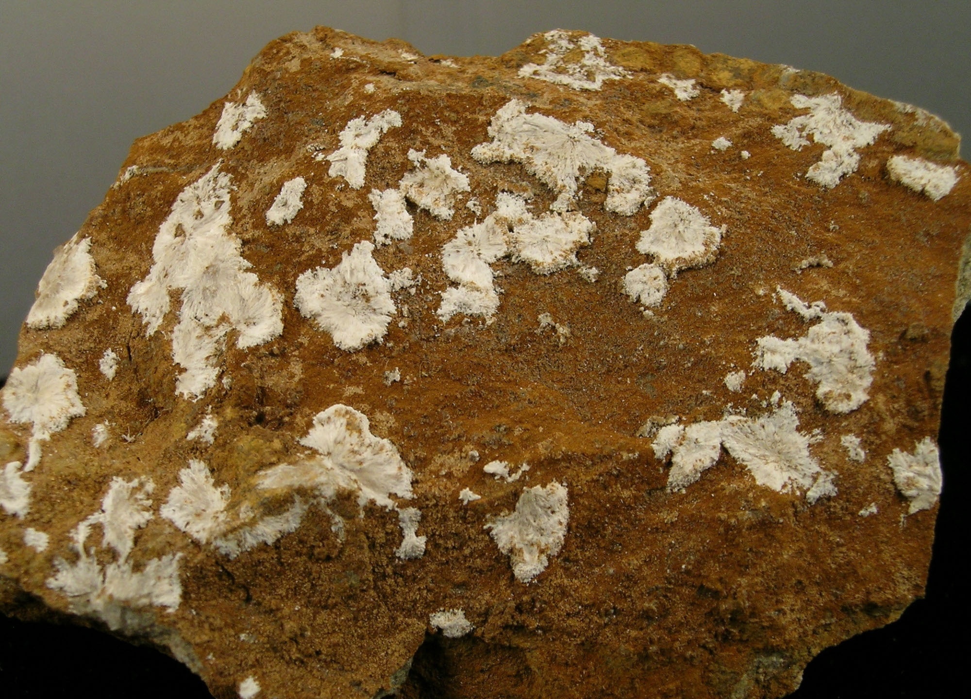 Alumohidrokalcit (Herman Ottó Múzeum, Miskolc CC BY-NC-SA)