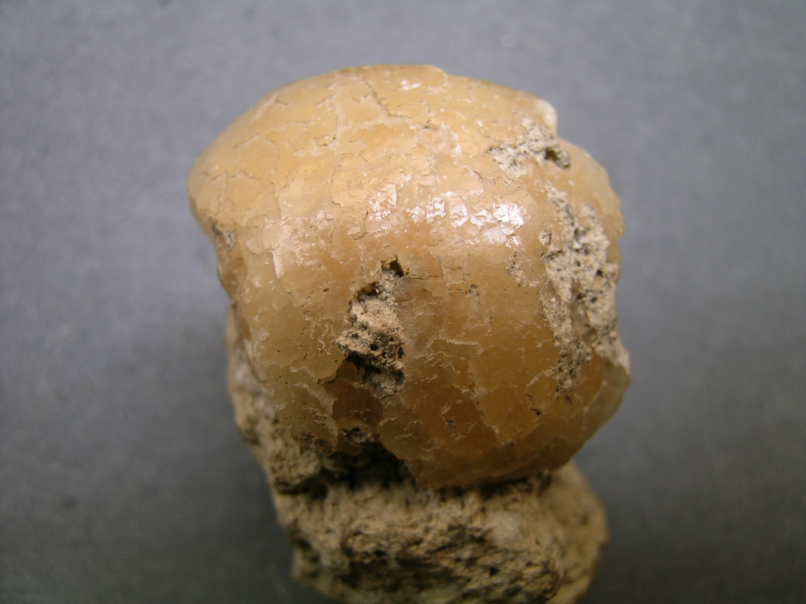 Stellerit (Herman Ottó Múzeum, Miskolc CC BY-NC-SA)