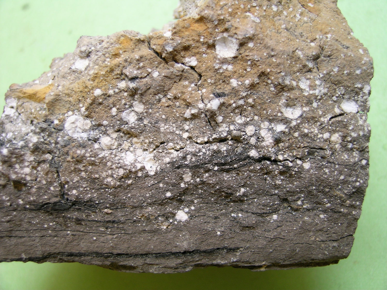 Kaolinit, montmorillonit (Herman Ottó Múzeum, Miskolc CC BY-NC-SA)