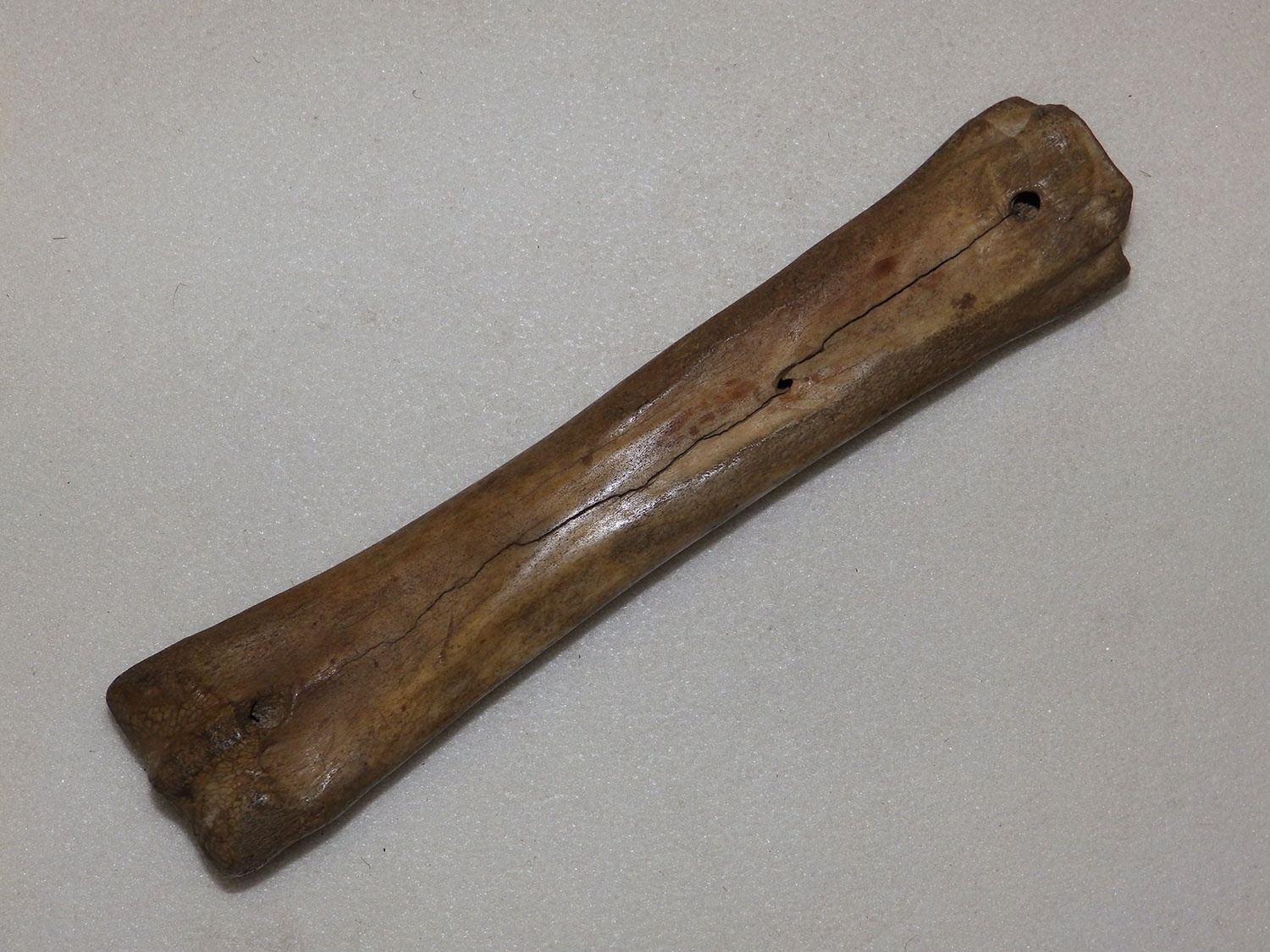 Csont hálónehezék (Herman Ottó Múzeum, Miskolc CC BY-NC-SA)