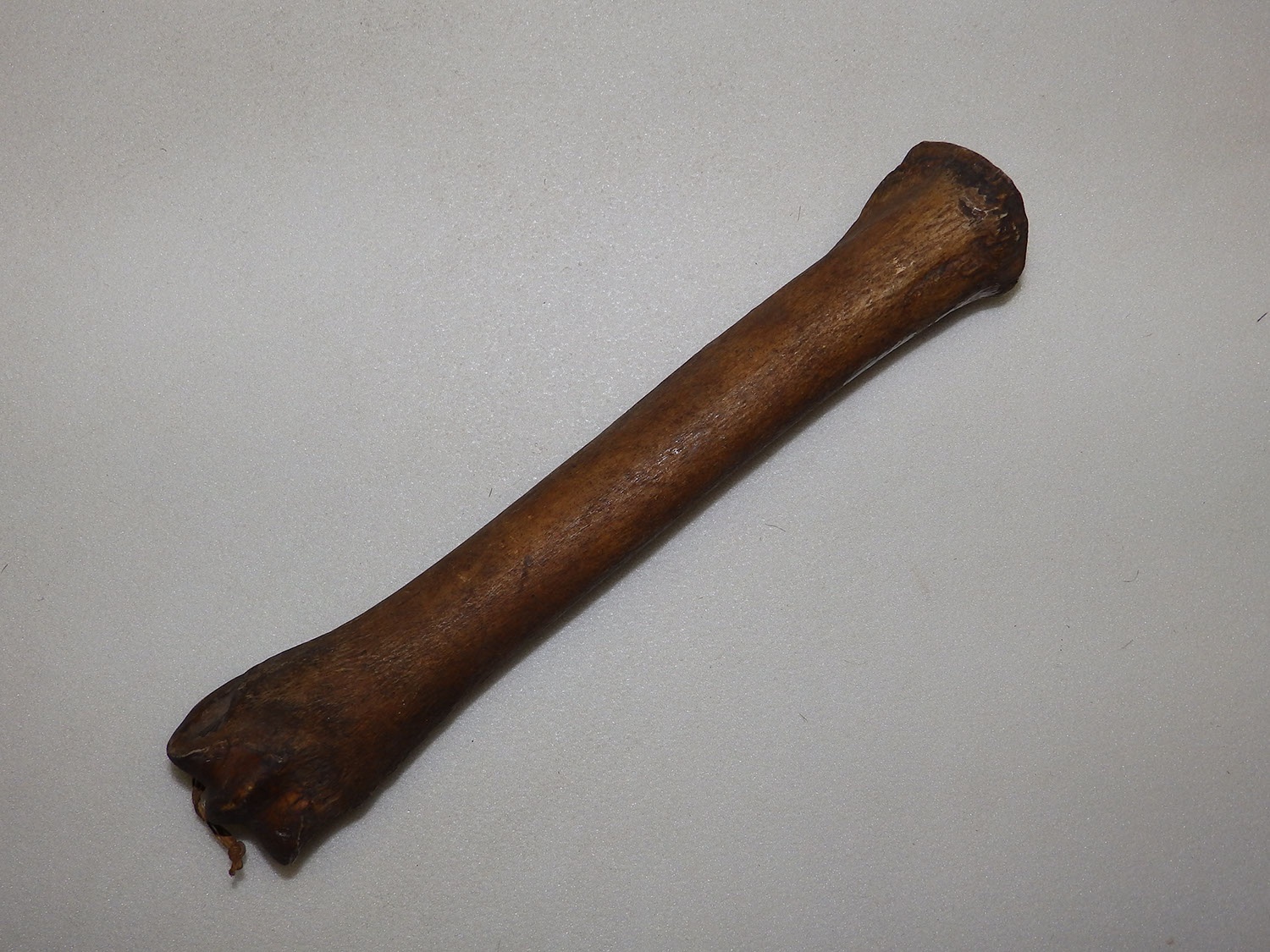 Csontháló nehezék, `kececsont` (Herman Ottó Múzeum, Miskolc CC BY-NC-SA)