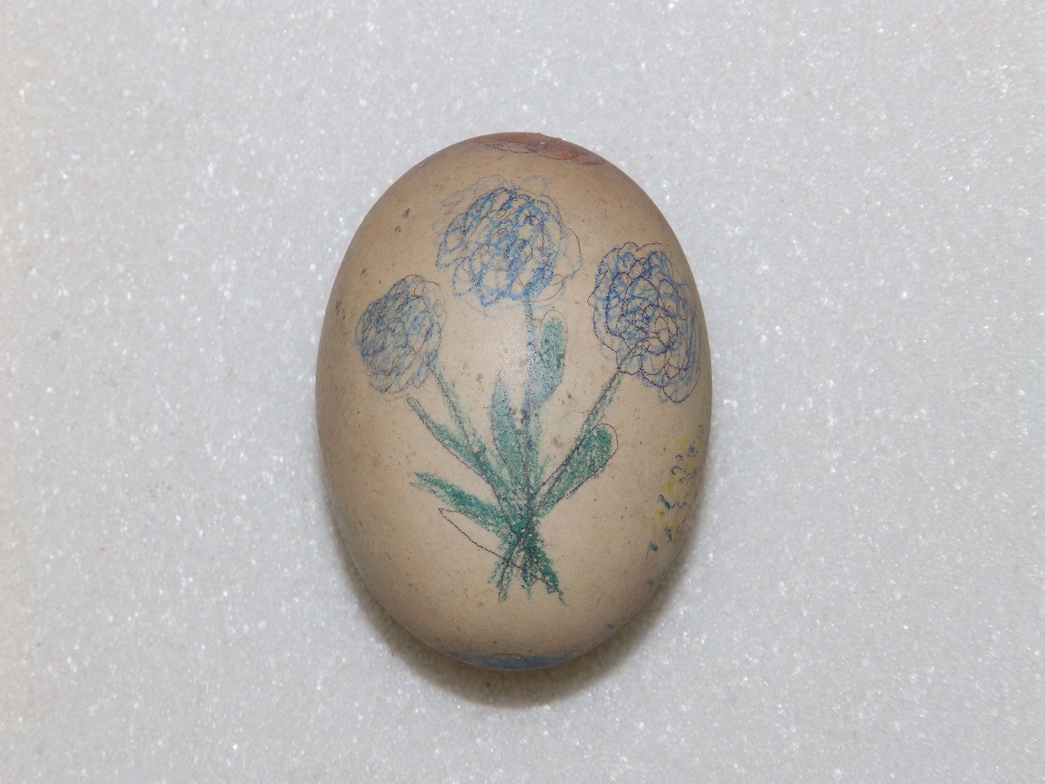 Festett tojás (Herman Ottó Múzeum, Miskolc CC BY-NC-SA)