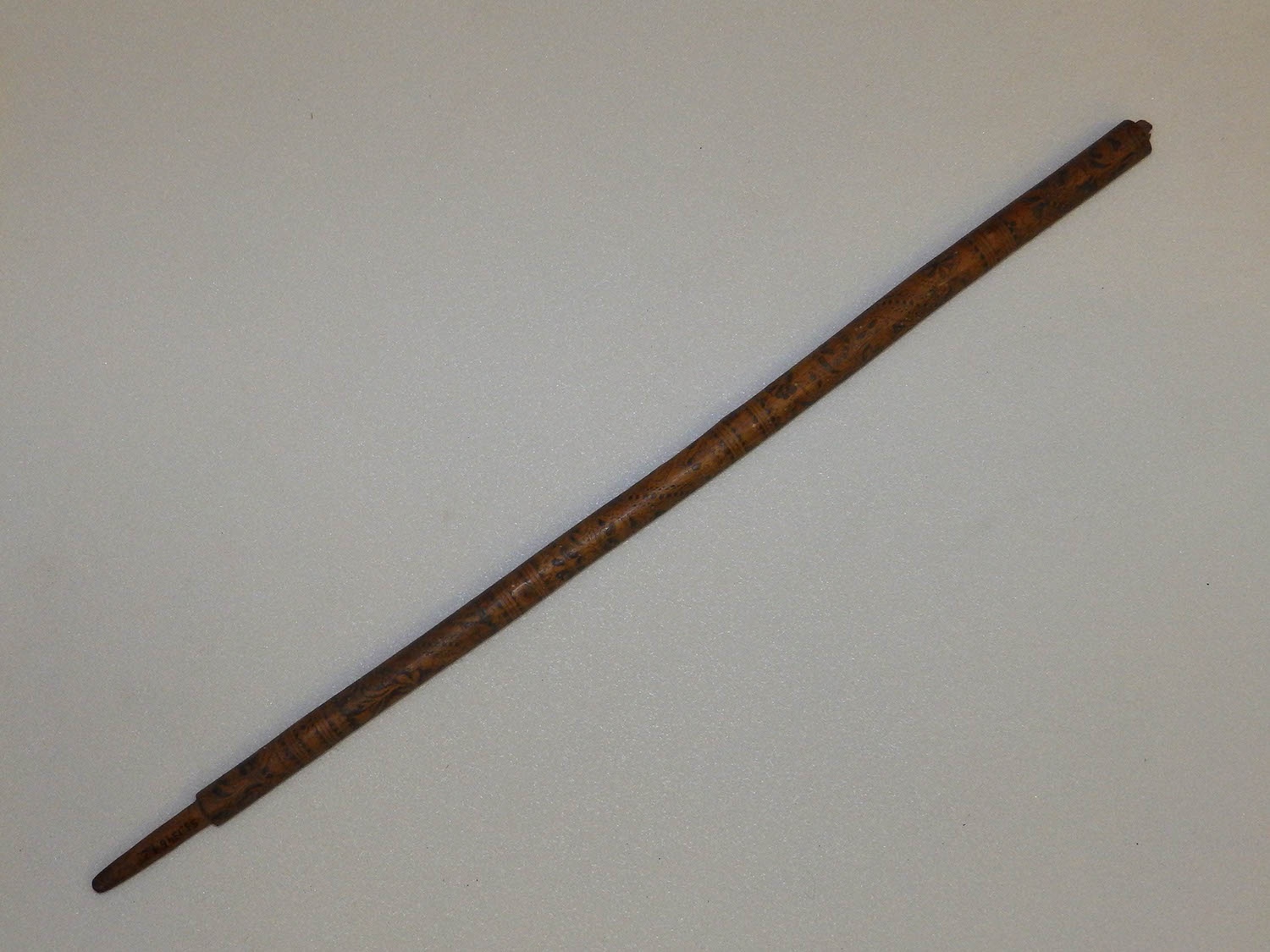 Guzsaly szára (Herman Ottó Múzeum, Miskolc CC BY-NC-SA)