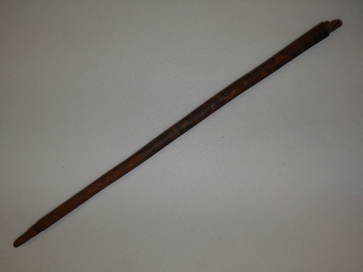 Guzsaly szára (Herman Ottó Múzeum, Miskolc CC BY-NC-SA)