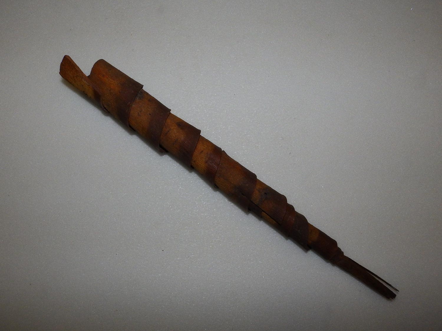 Fűzfakürt (Herman Ottó Múzeum, Miskolc CC BY-NC-SA)
