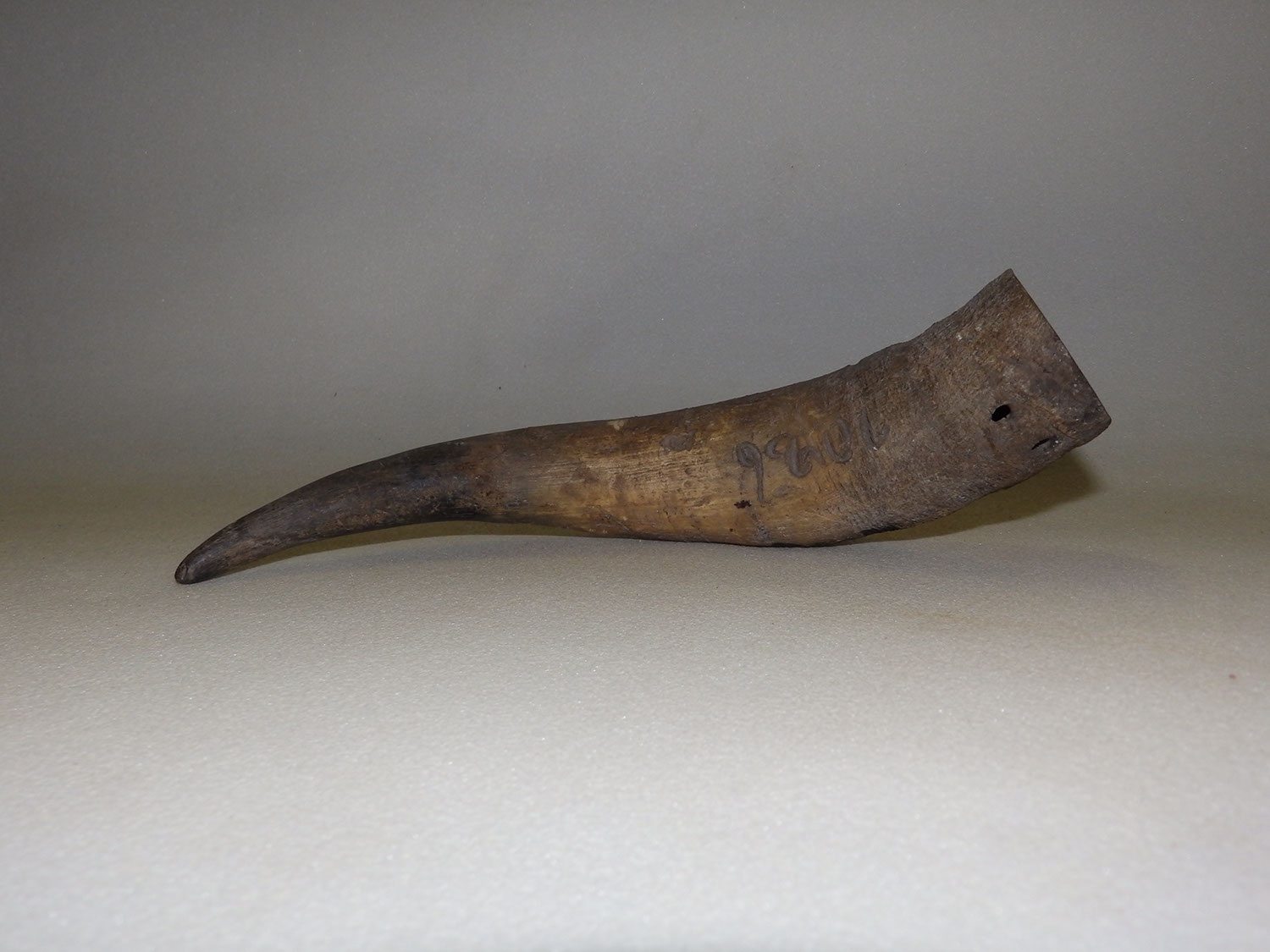 Kaszakőtartó (Herman Ottó Múzeum, Miskolc CC BY-NC-SA)