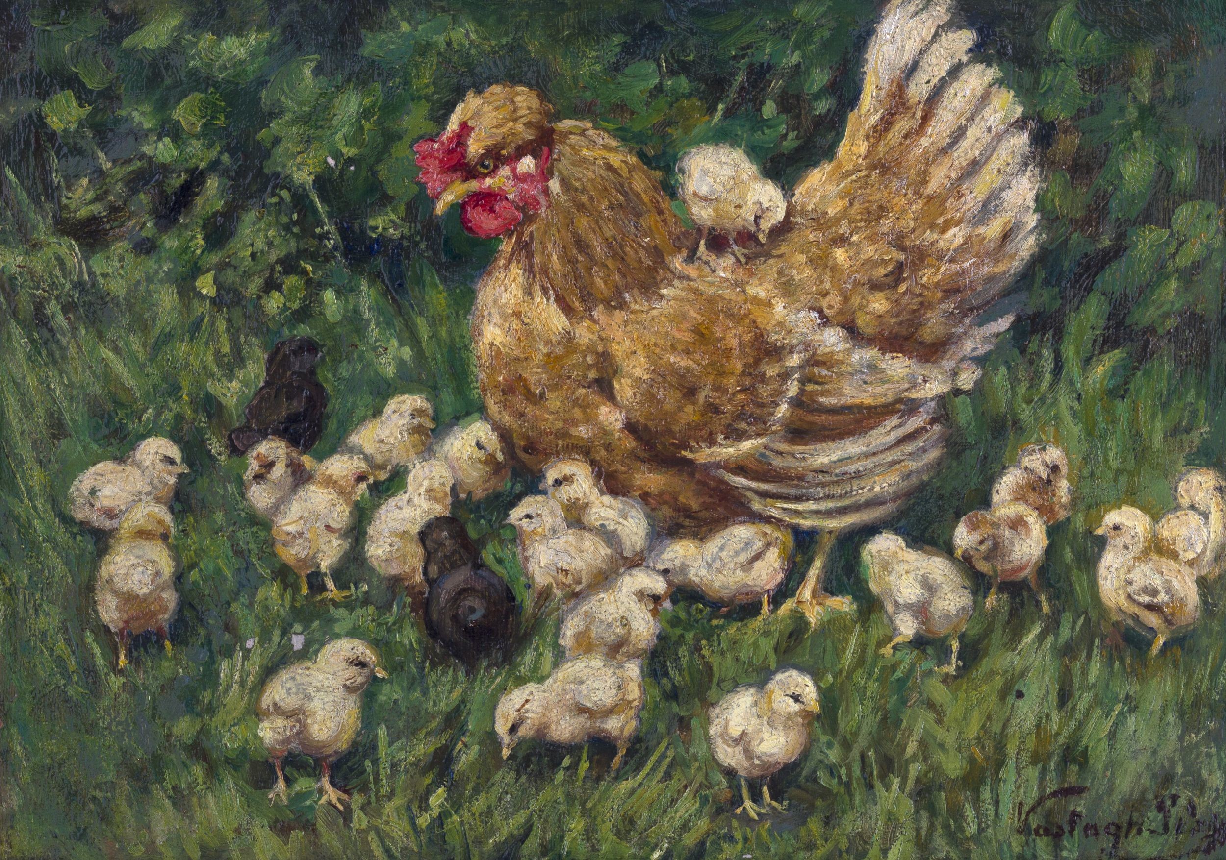 Kotlóstyúk kis csirkékkel (Hansági Múzeum CC BY-NC-SA)