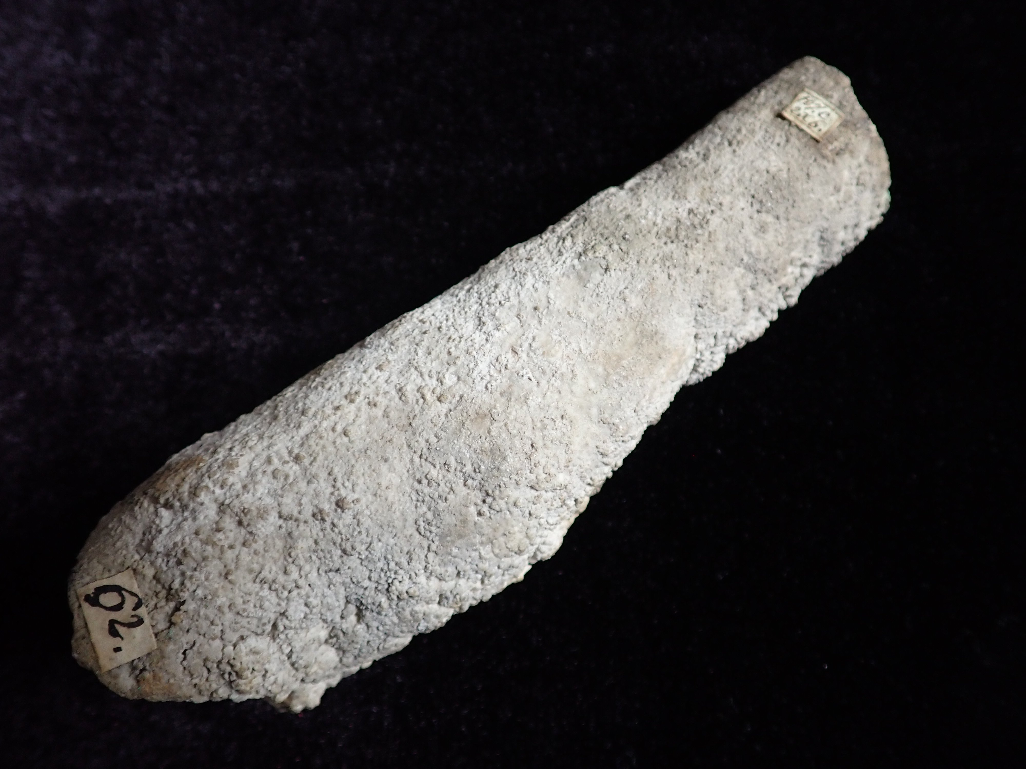 cseppkő (Pannonhalmi Főapátsági Múzeum CC BY-NC-SA)