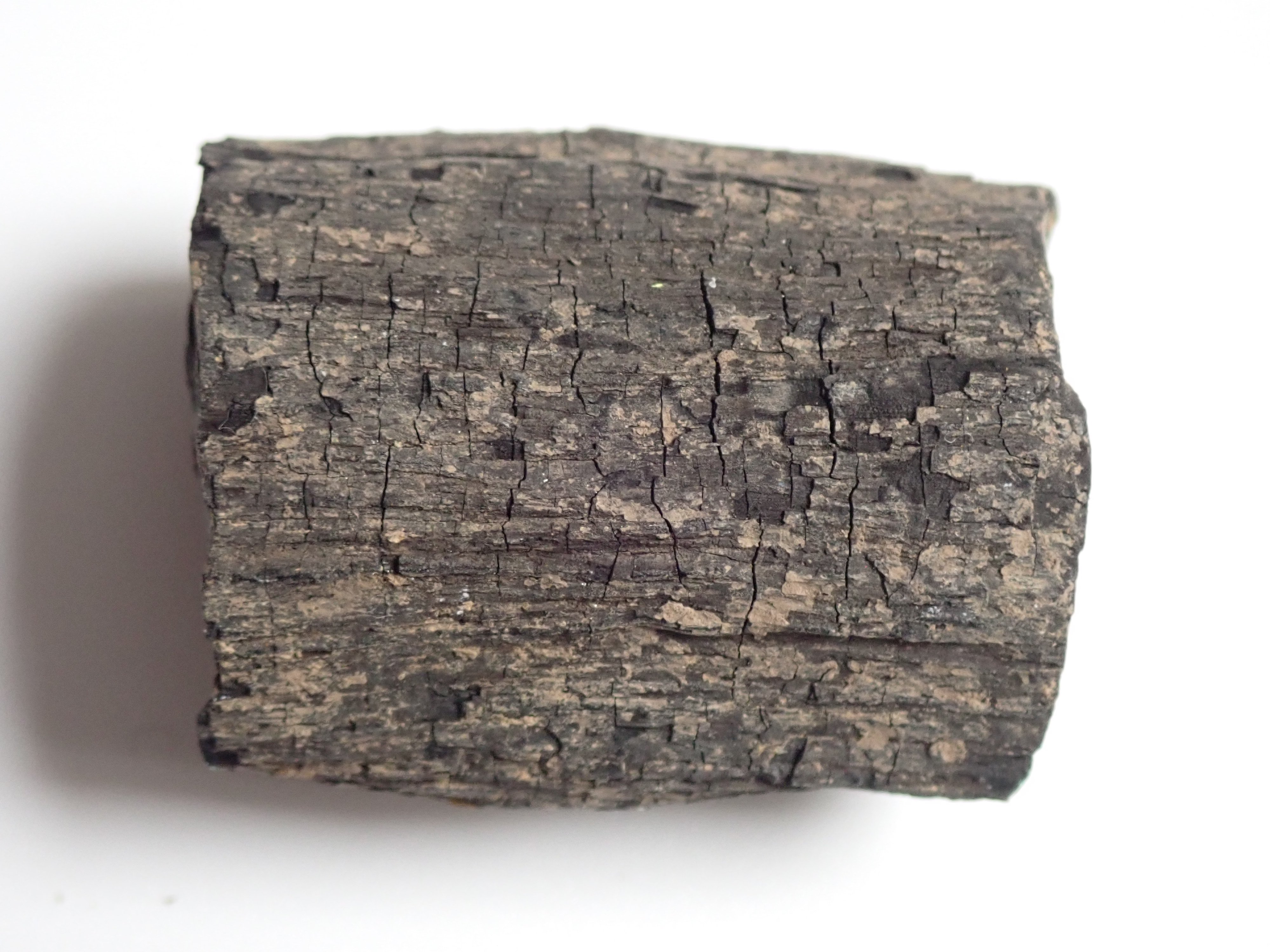 kövesedett, szenesedett fa (Pannonhalmi Főapátsági Múzeum CC BY-NC-SA)