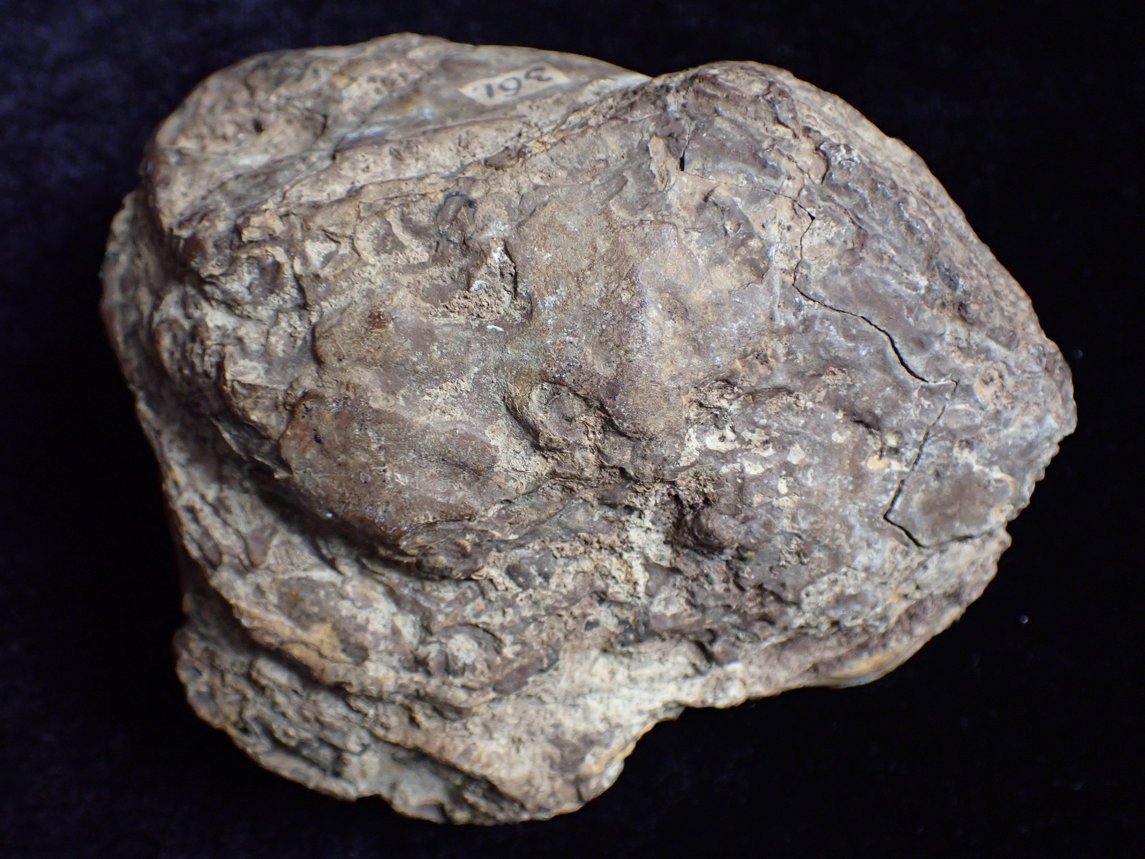 limonit (Pannonhalmi Főapátsági Múzeum CC BY-NC-SA)