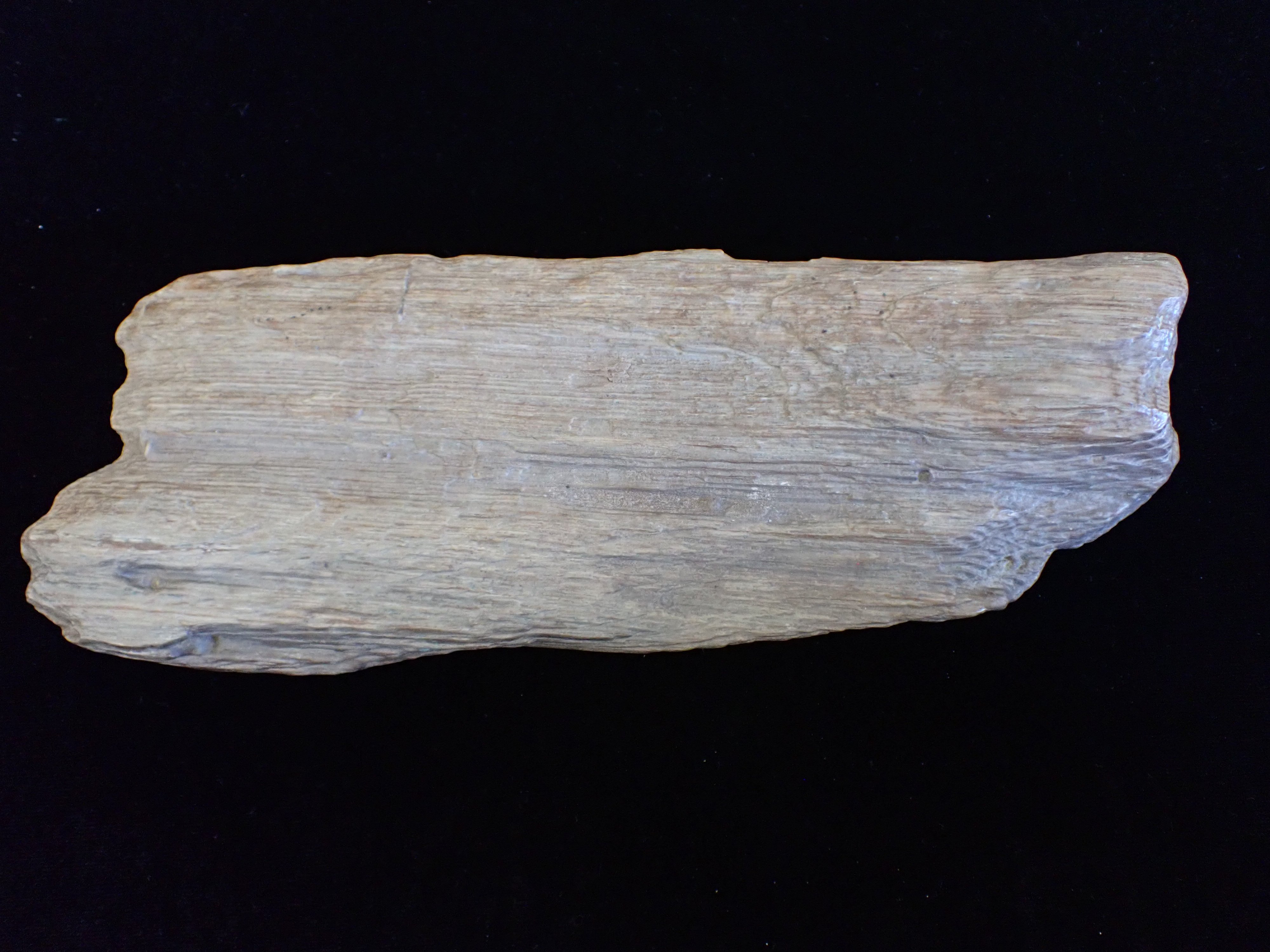 kovás fa (Pannonhalmi Főapátsági Múzeum CC BY-NC-SA)