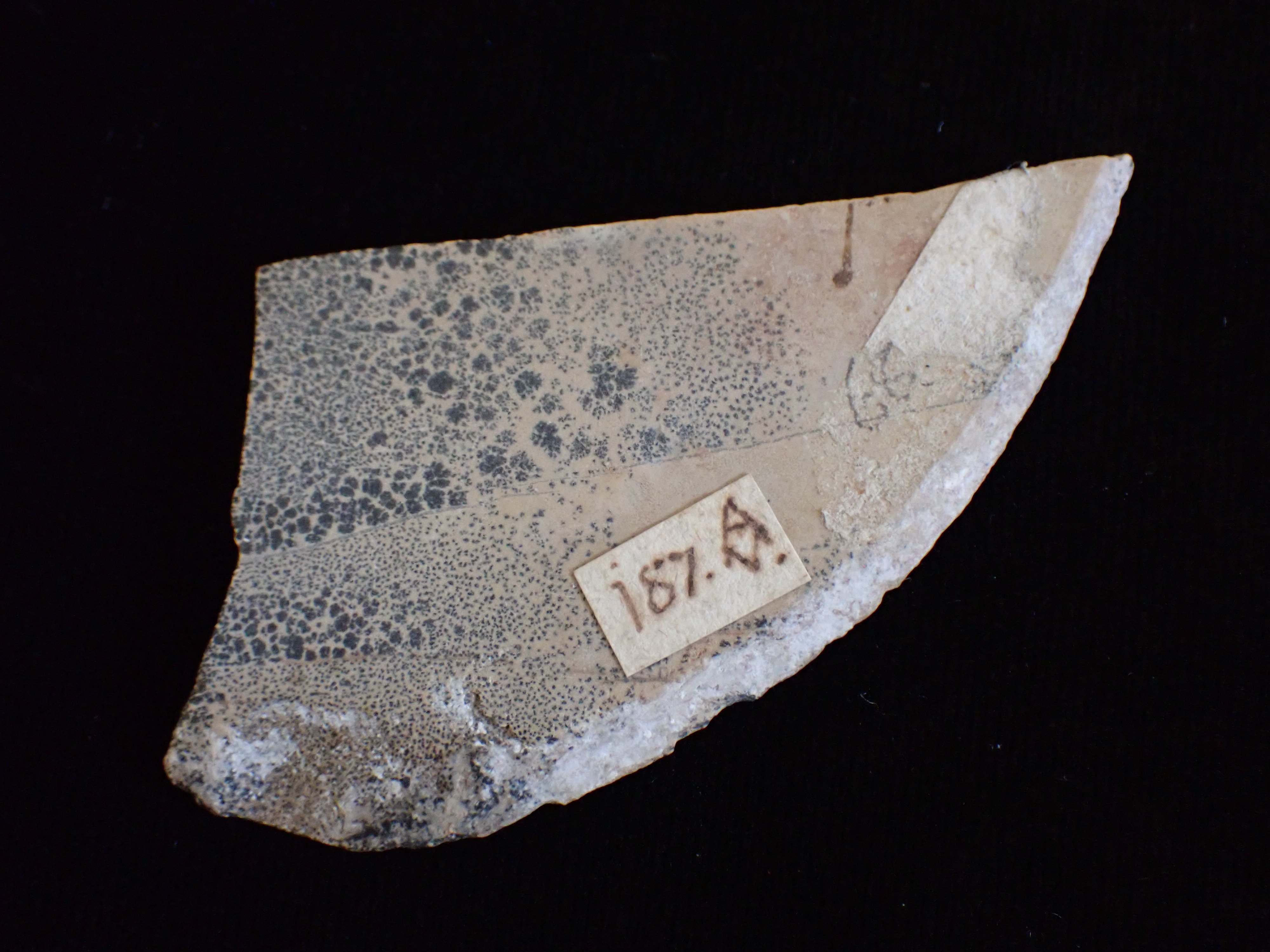 márga (Pannonhalmi Főapátsági Múzeum CC BY-NC-SA)