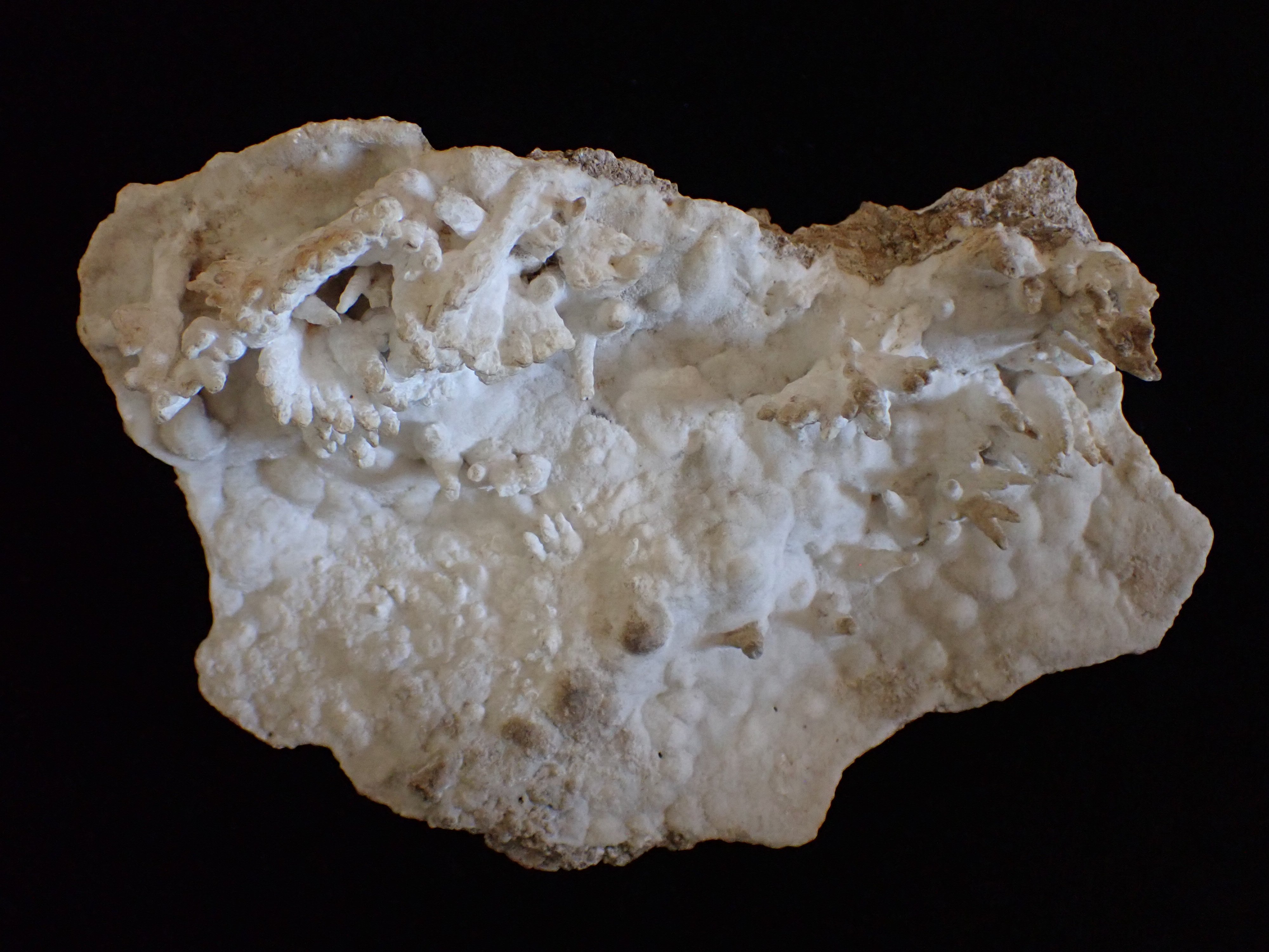 aragonit (Pannonhalmi Főapátsági Múzeum CC BY-NC-SA)