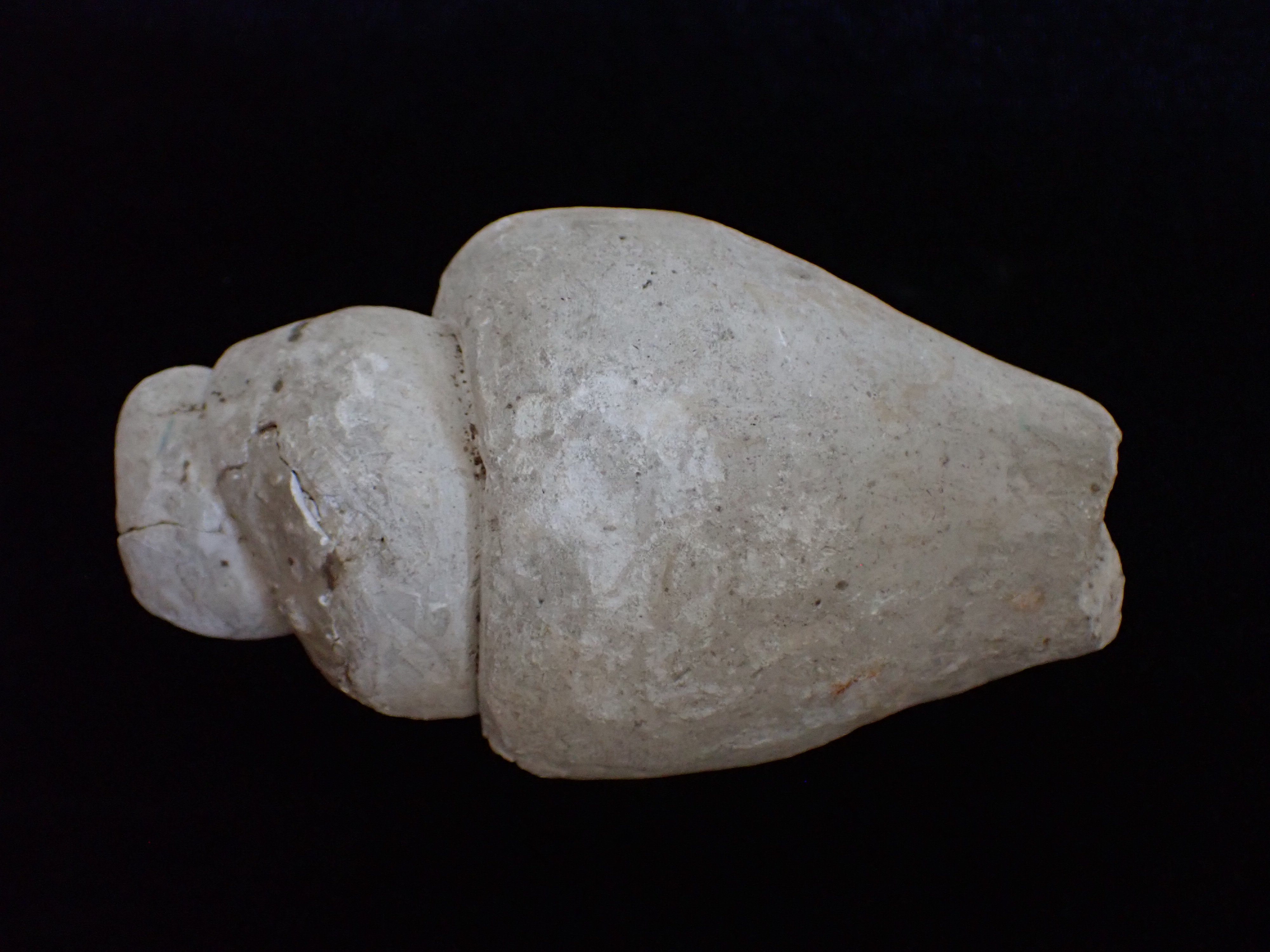 csiga kövület (Pannonhalmi Főapátsági Múzeum CC BY-NC-SA)