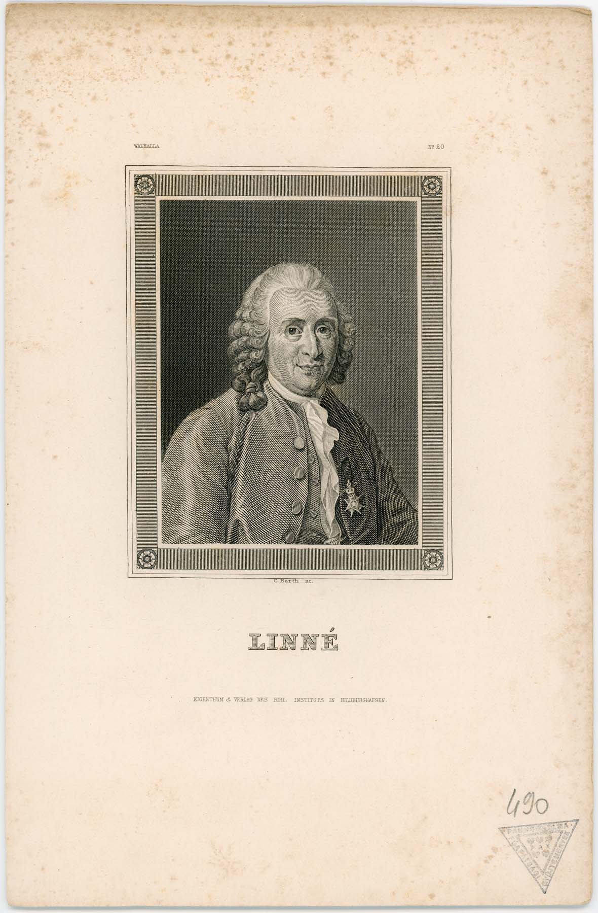 Linné portréja (Pannonhalma Főapátsági Múzeum CC BY-NC-SA)