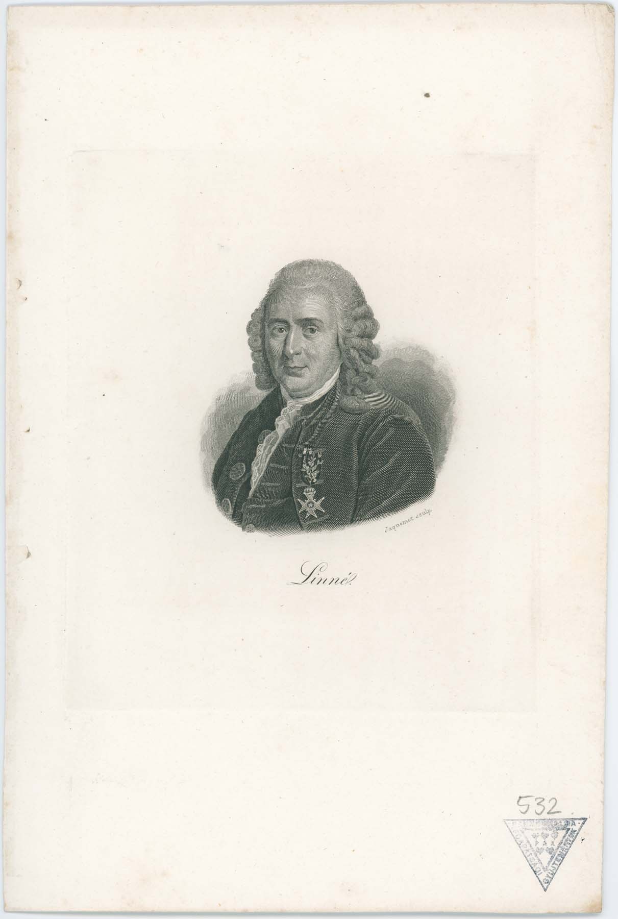 Linné portréja (Pannonhalma Főapátsági Múzeum CC BY-NC-SA)