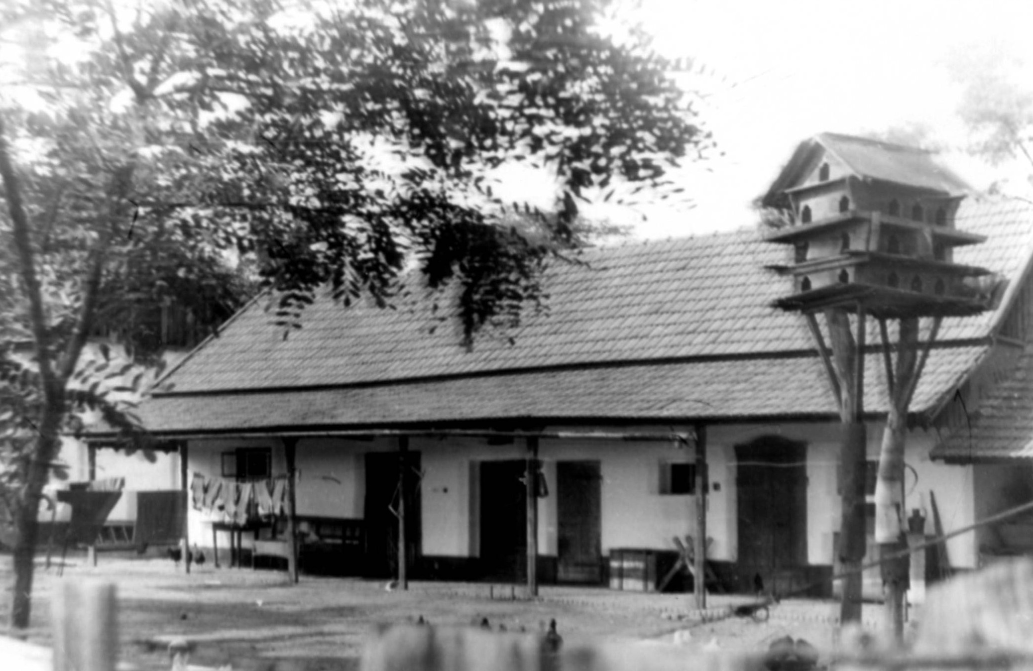 Melléképület, galambdúccal (Karacs Ferenc Múzeum, Püspökladány CC BY-NC-SA)