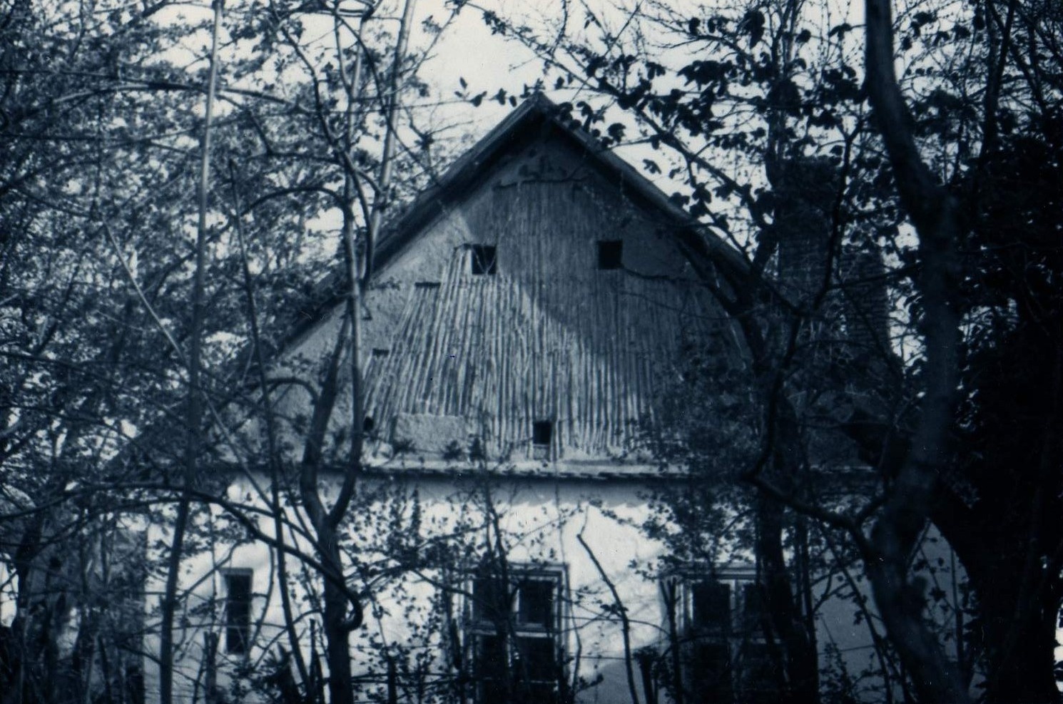 Napraforgószárból készült tűzfalú ház (Karacs Ferenc Múzeum, Püspökladány CC BY-NC-SA)