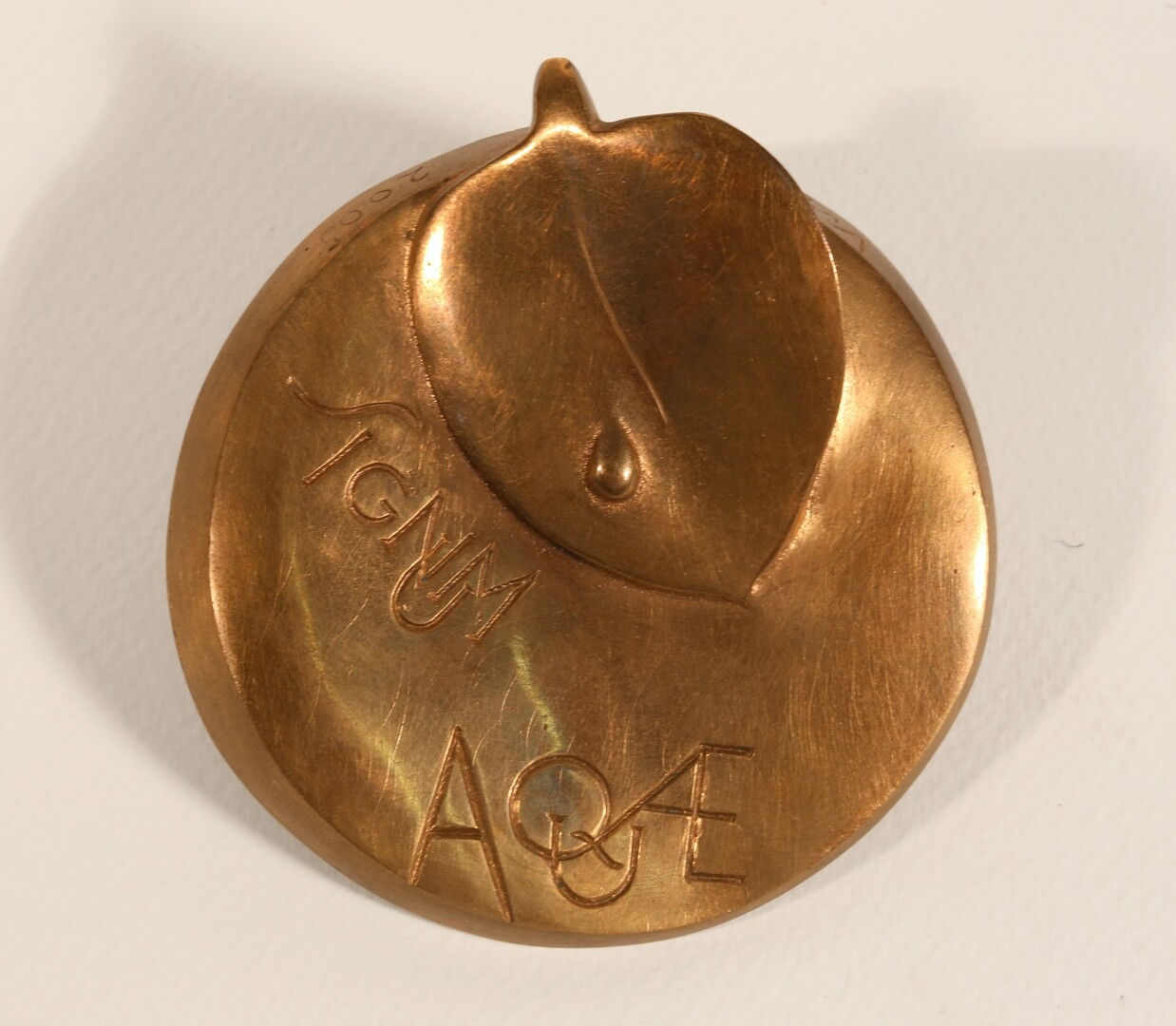 A Magyar Mérnöki Kamara SIGNUM AQUAE kitüntetése (Magyar Környezetvédelmi és Vízügyi Múzeum - Duna Múzeum CC BY-NC-SA)