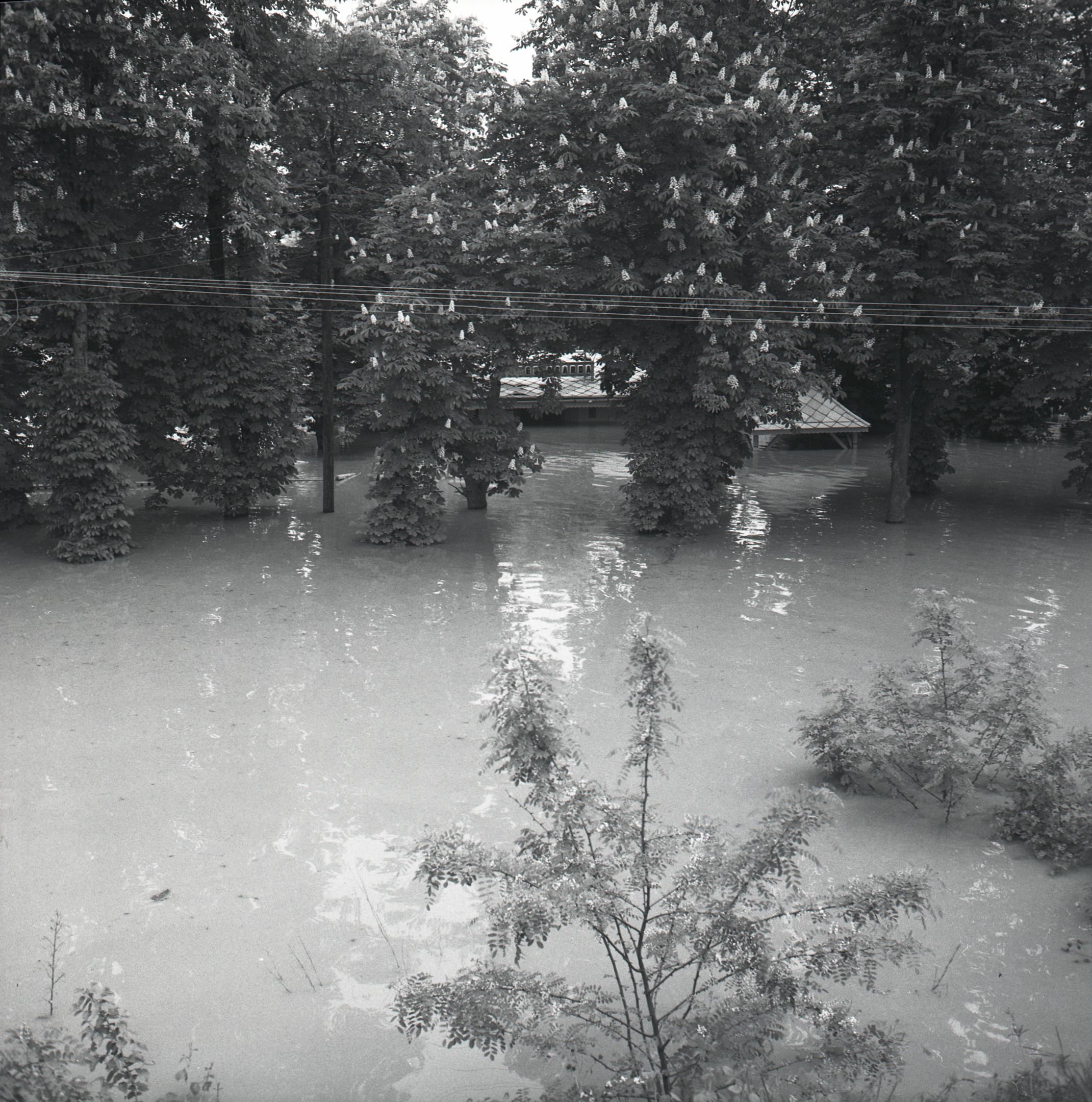 Makói közúti híd alatti vendéglő árvíz idején (Magyar Környezetvédelmi és Vízügyi Múzeum - Duna Múzeum CC BY-NC-SA)