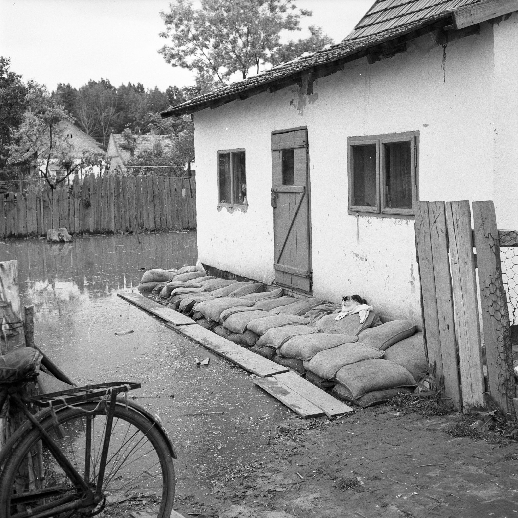 Elöntött ház árvíz idején (Magyar Környezetvédelmi és Vízügyi Múzeum - Duna Múzeum CC BY-NC-SA)