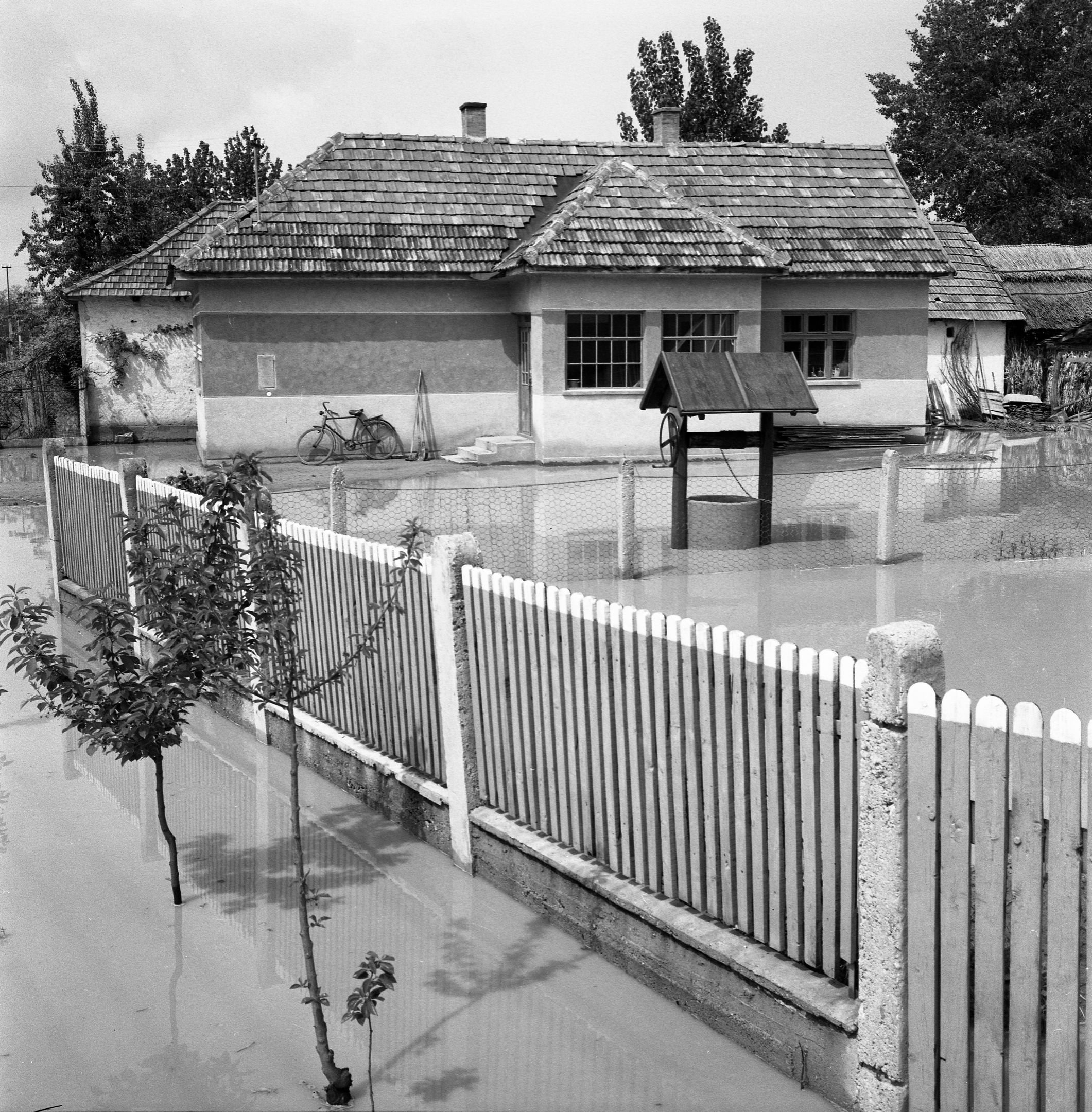 Árvíz Győrtelek térségében (1970) (Magyar Környezetvédelmi és Vízügyi Múzeum - Duna Múzeum CC BY-NC-SA)