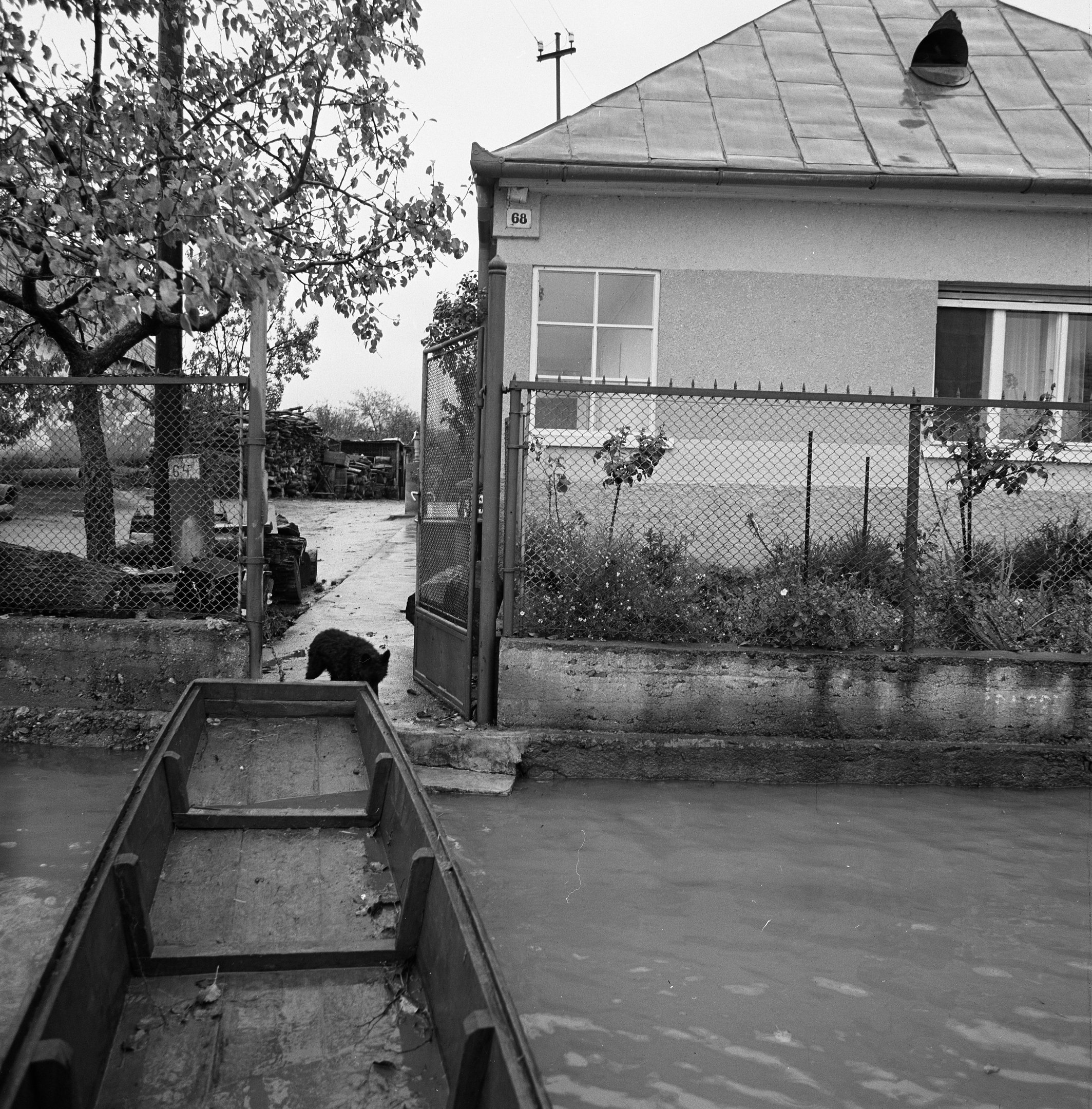 1974. évi árvíz a Bodrogon (Magyar Környezetvédelmi és Vízügyi Múzeum - Duna Múzeum CC BY-NC-SA)