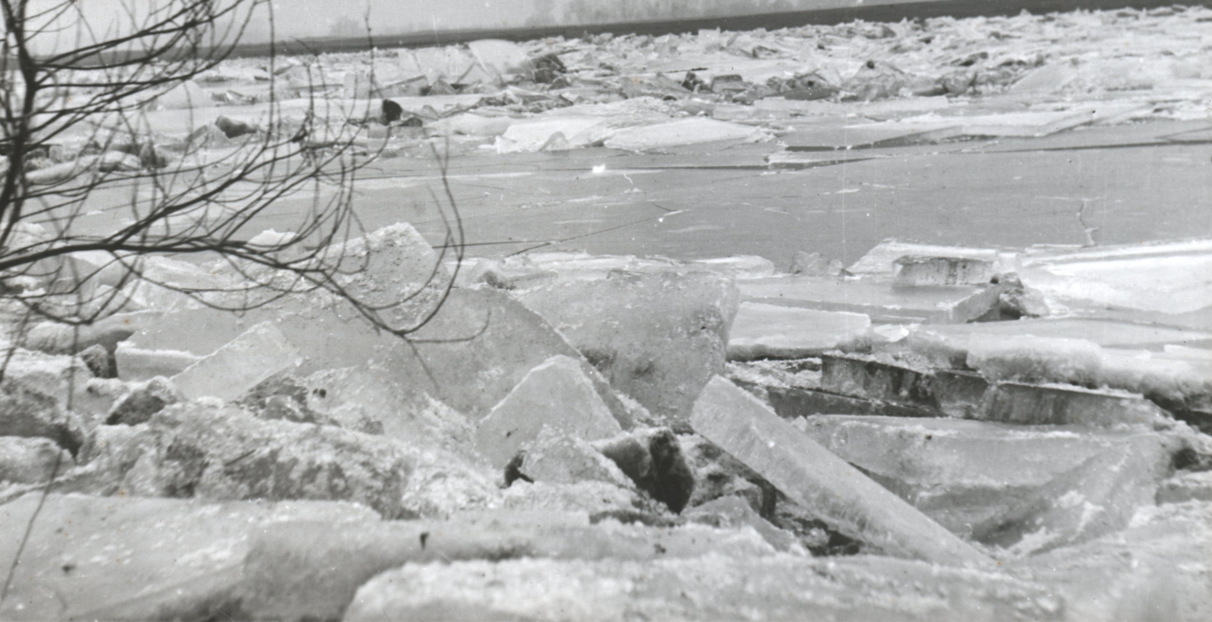Váltakozó összetételű álló jégmező (Magyar Környezetvédelmi és Vízügyi Múzeum - Duna Múzeum CC BY-NC-SA)
