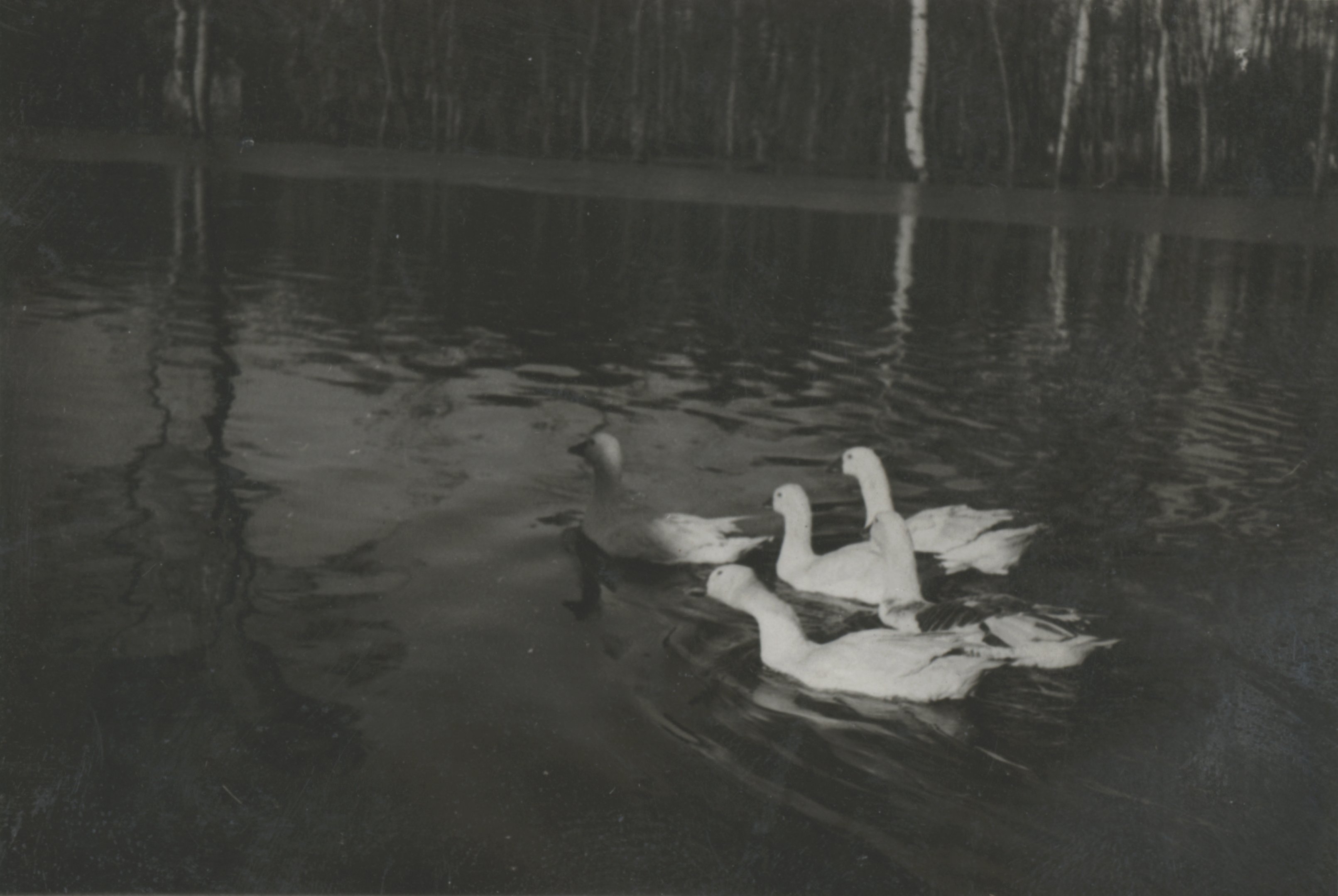 1941. február 14-én apad a víz Dömsödön (Magyar Környezetvédelmi és Vízügyi Múzeum - Duna Múzeum CC BY-NC-SA)