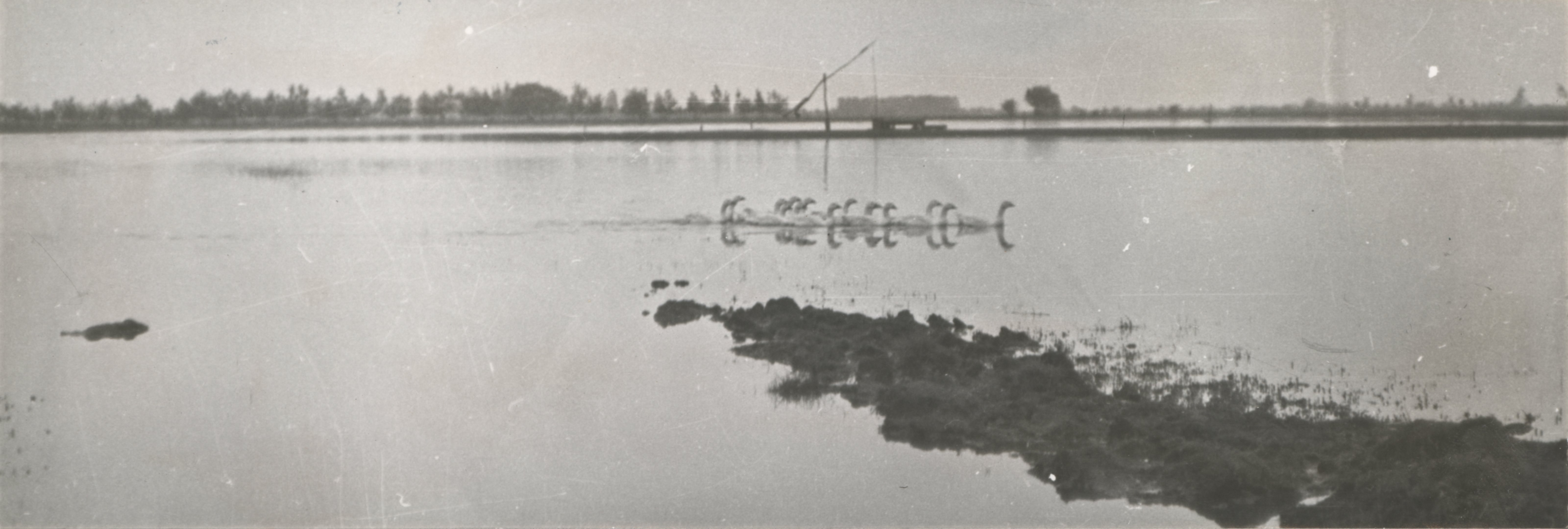 Az Ura -th- úti csatorna balparti elöntései (Magyar Környezetvédelmi és Vízügyi Múzeum - Duna Múzeum CC BY-NC-SA)
