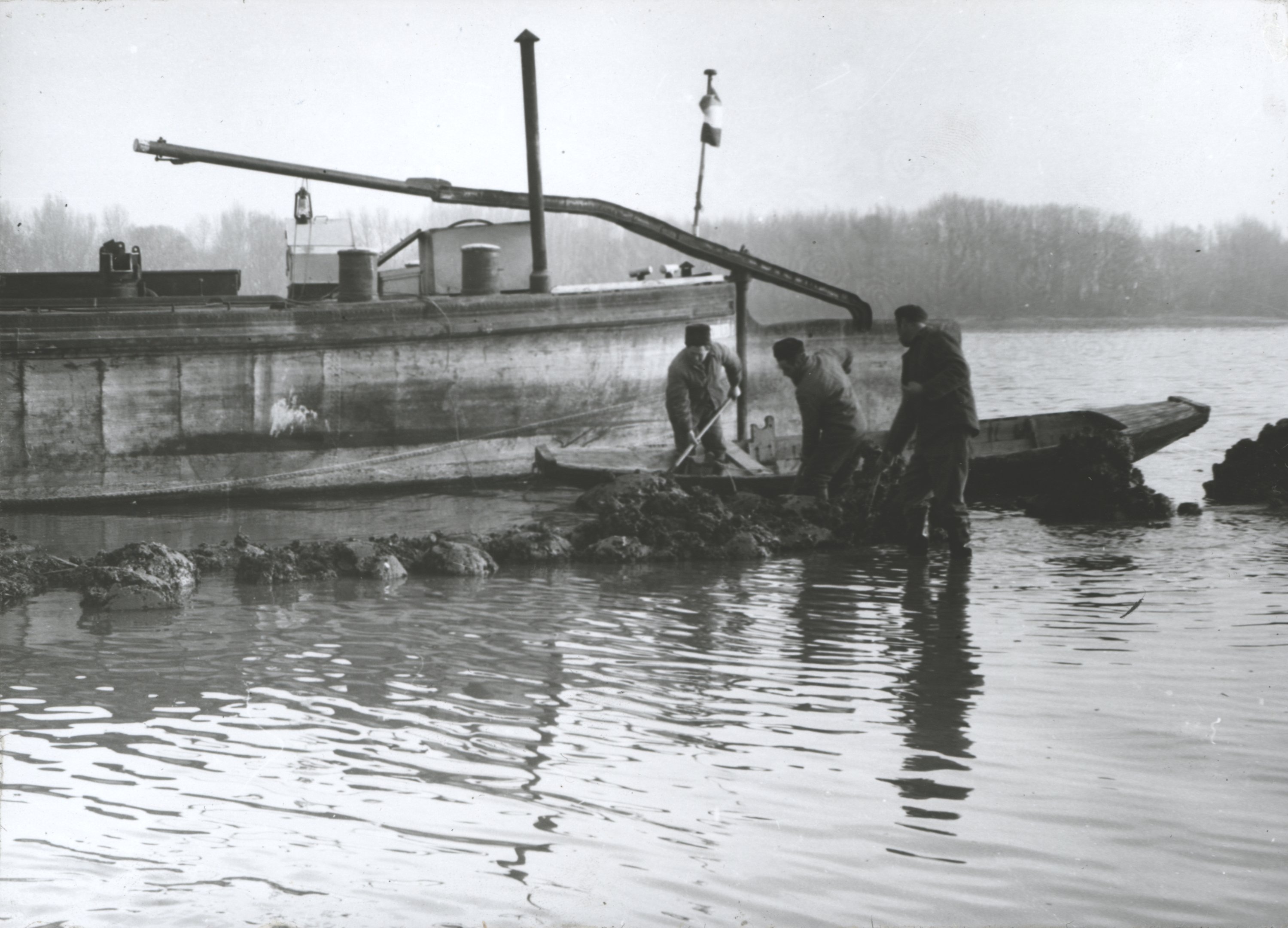 Csónakba lapátolják a sekélyvízben megfeneklett és vízen úszó pakurát (Magyar Környezetvédelmi és Vízügyi Múzeum - Duna Múzeum CC BY-NC-SA)