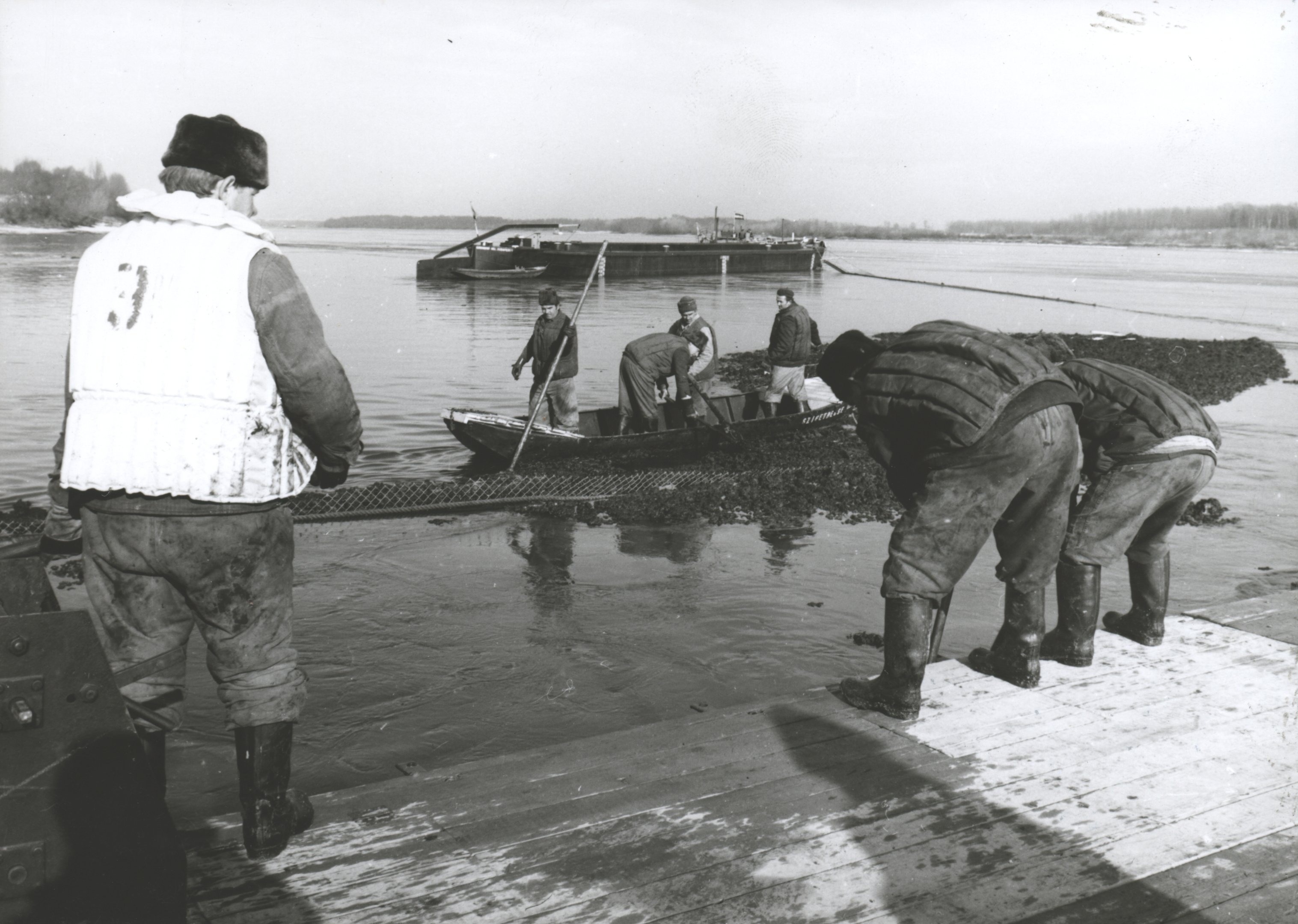 A merülőháló alatt átúszó pakura darabokat a közelben lehorgonyzott pontonokról vasvillával a part felé terelik (Magyar Környezetvédelmi és Vízügyi Múzeum - Duna Múzeum CC BY-NC-SA)