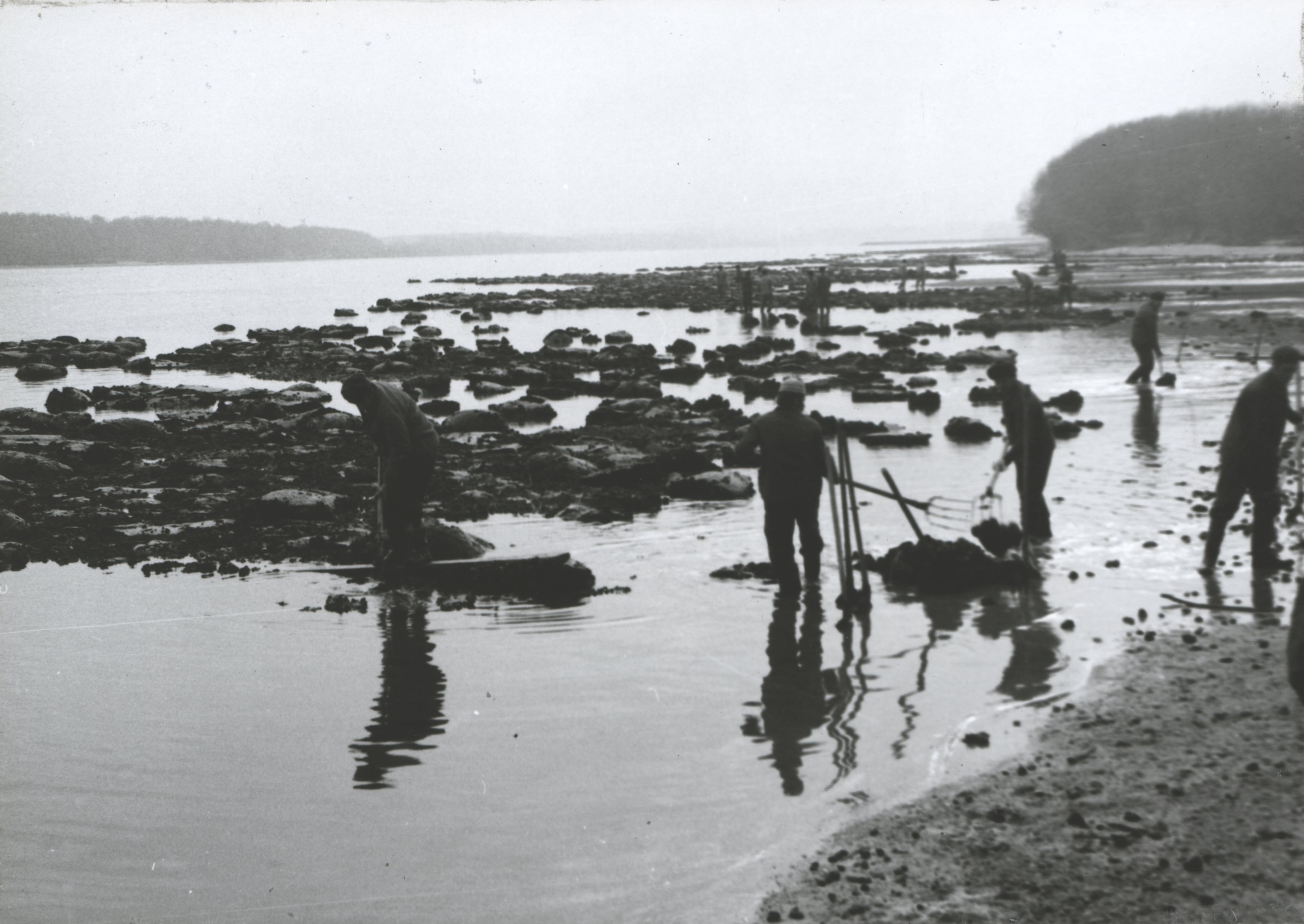 Pakura partra rakása kézi erővel (Magyar Környezetvédelmi és Vízügyi Múzeum - Duna Múzeum CC BY-NC-SA)