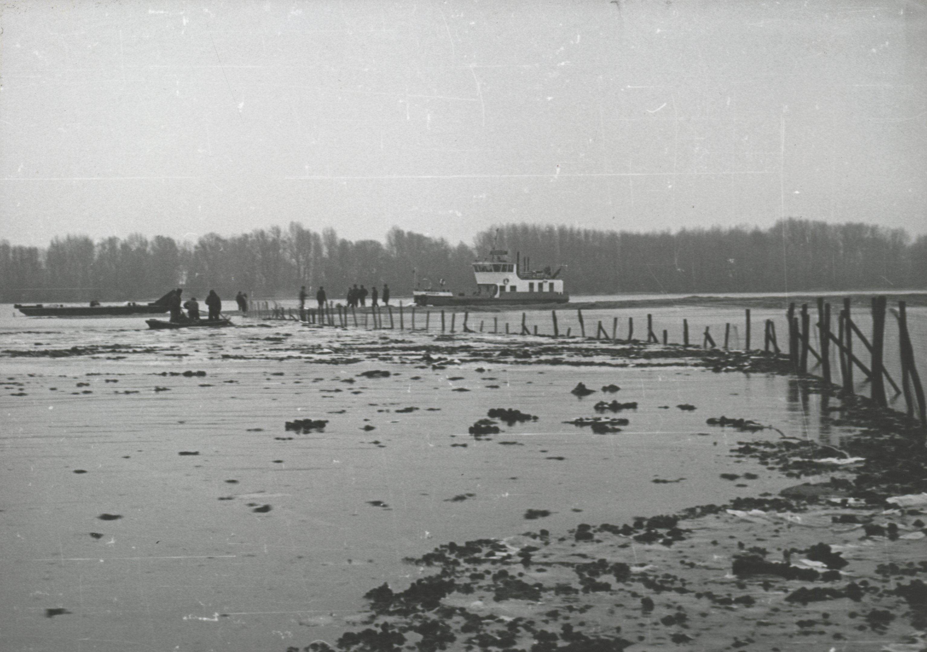 A kerítés felett összegyűlő pakurát csónakokkal szállították el (Magyar Környezetvédelmi és Vízügyi Múzeum - Duna Múzeum CC BY-NC-SA)