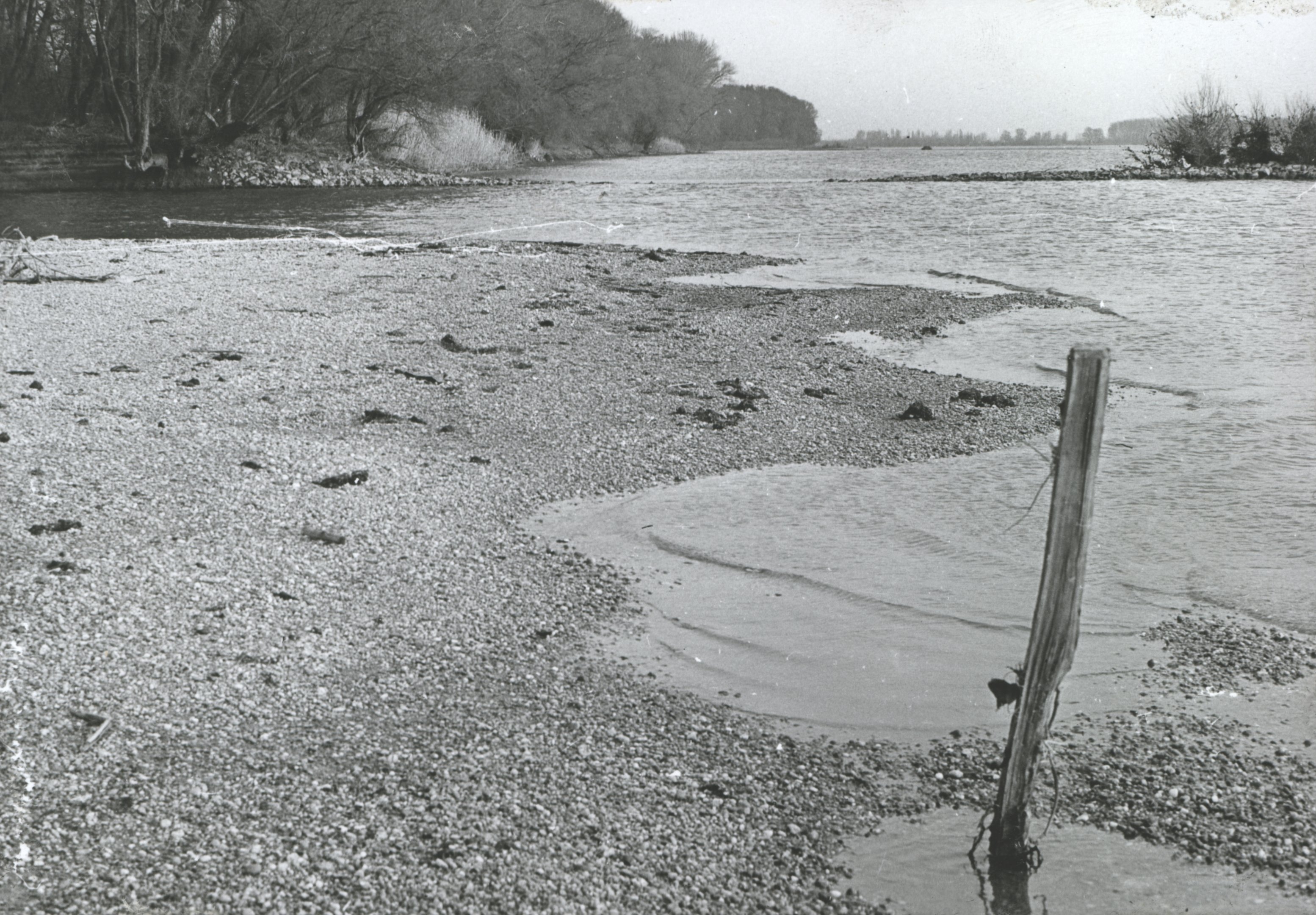 Kaviccsal félig betemetett pakura darabok zátonyos parton (Magyar Környezetvédelmi és Vízügyi Múzeum - Duna Múzeum CC BY-NC-SA)