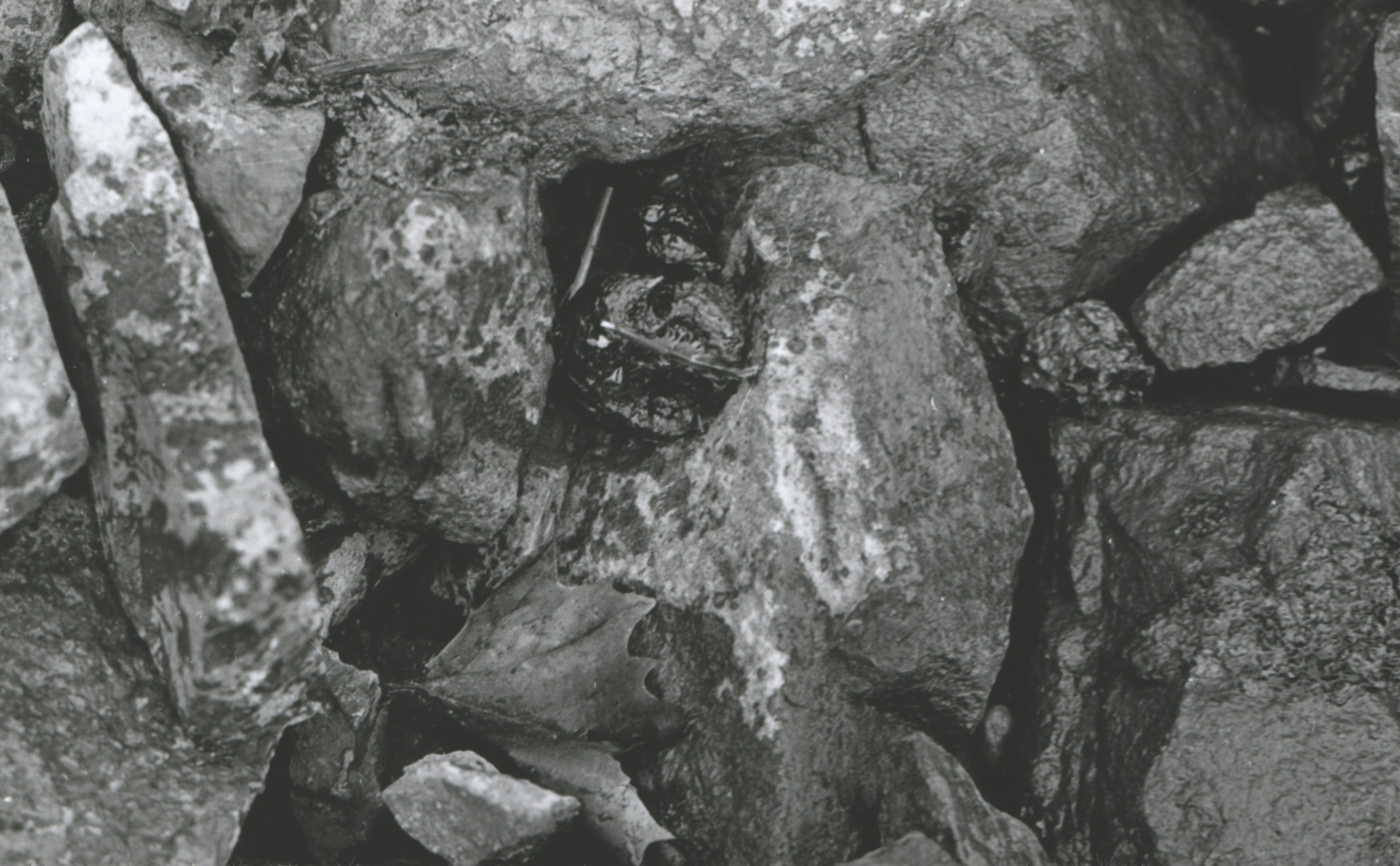 Partbiztosító kőszórás között lévő pakura darabok (Magyar Környezetvédelmi és Vízügyi Múzeum - Duna Múzeum CC BY-NC-SA)