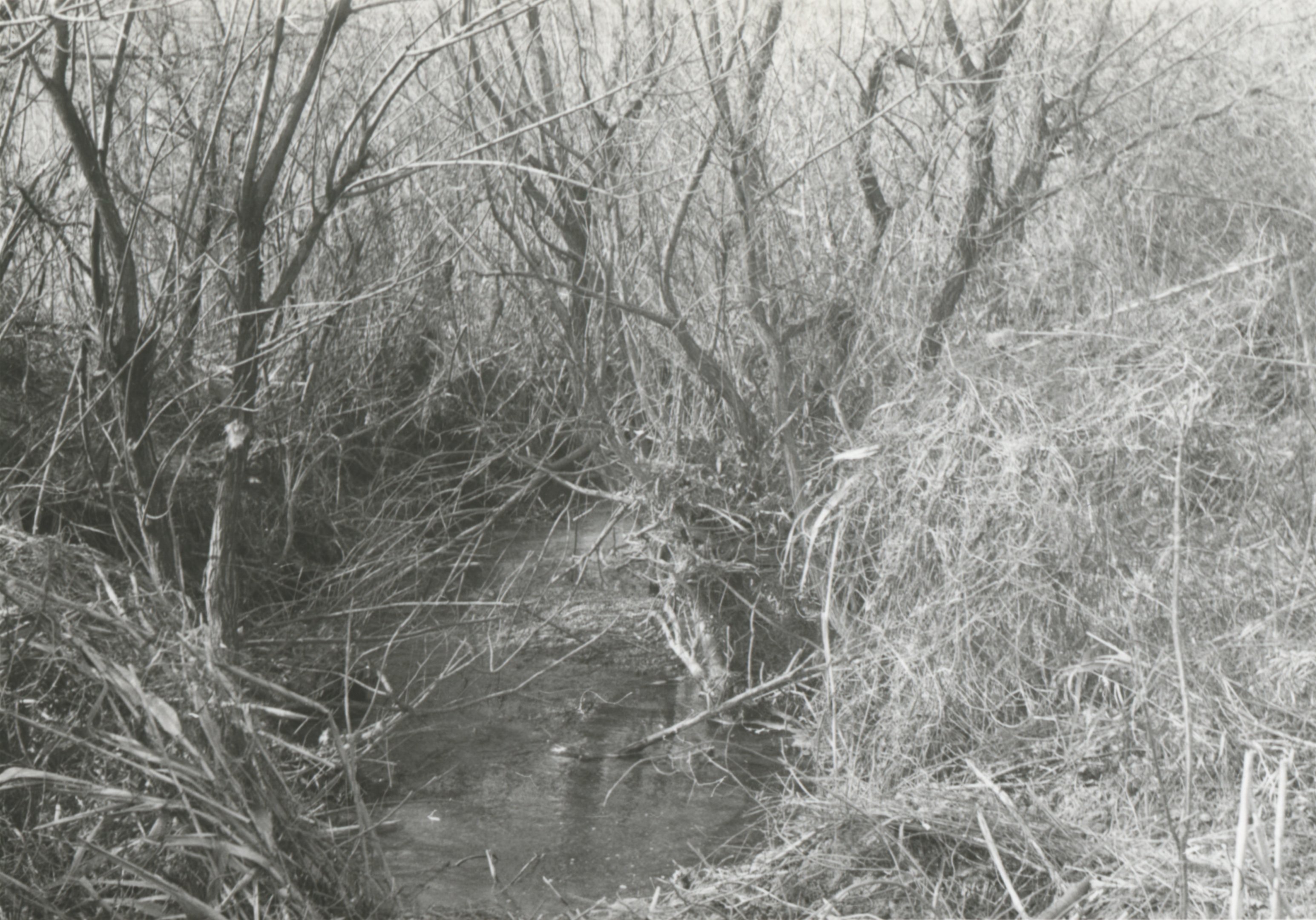 Esztergom - Diósvölgyi vízfolyás betorkolása a Szentlélek patakba, 1968 (Magyar Környezetvédelmi és Vízügyi Múzeum - Duna Múzeum CC BY-NC-SA)