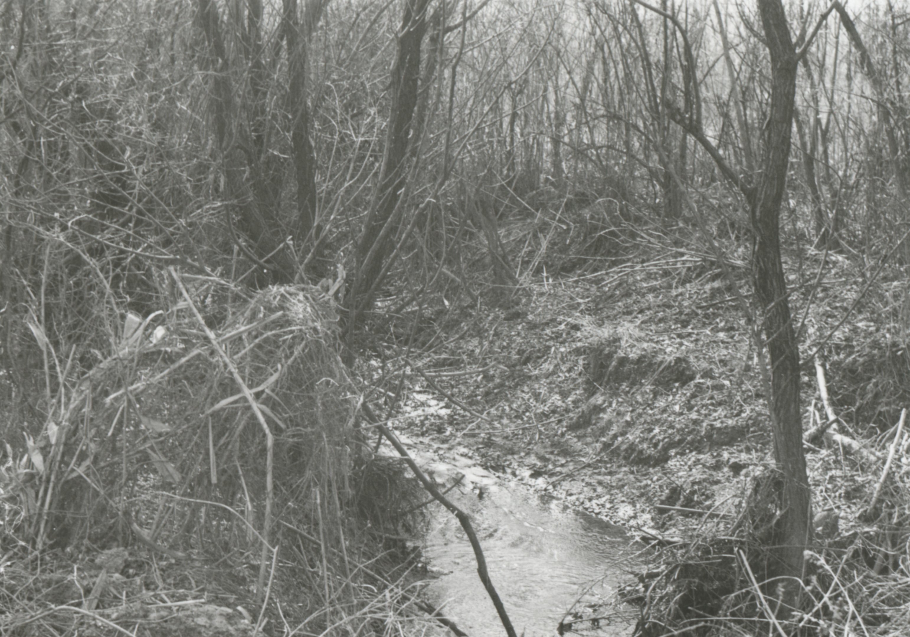 Esztergom - Diósvölgyi vízfolyás betorkolása a Szentlélek patakba, 1968 (Magyar Környezetvédelmi és Vízügyi Múzeum - Duna Múzeum CC BY-NC-SA)