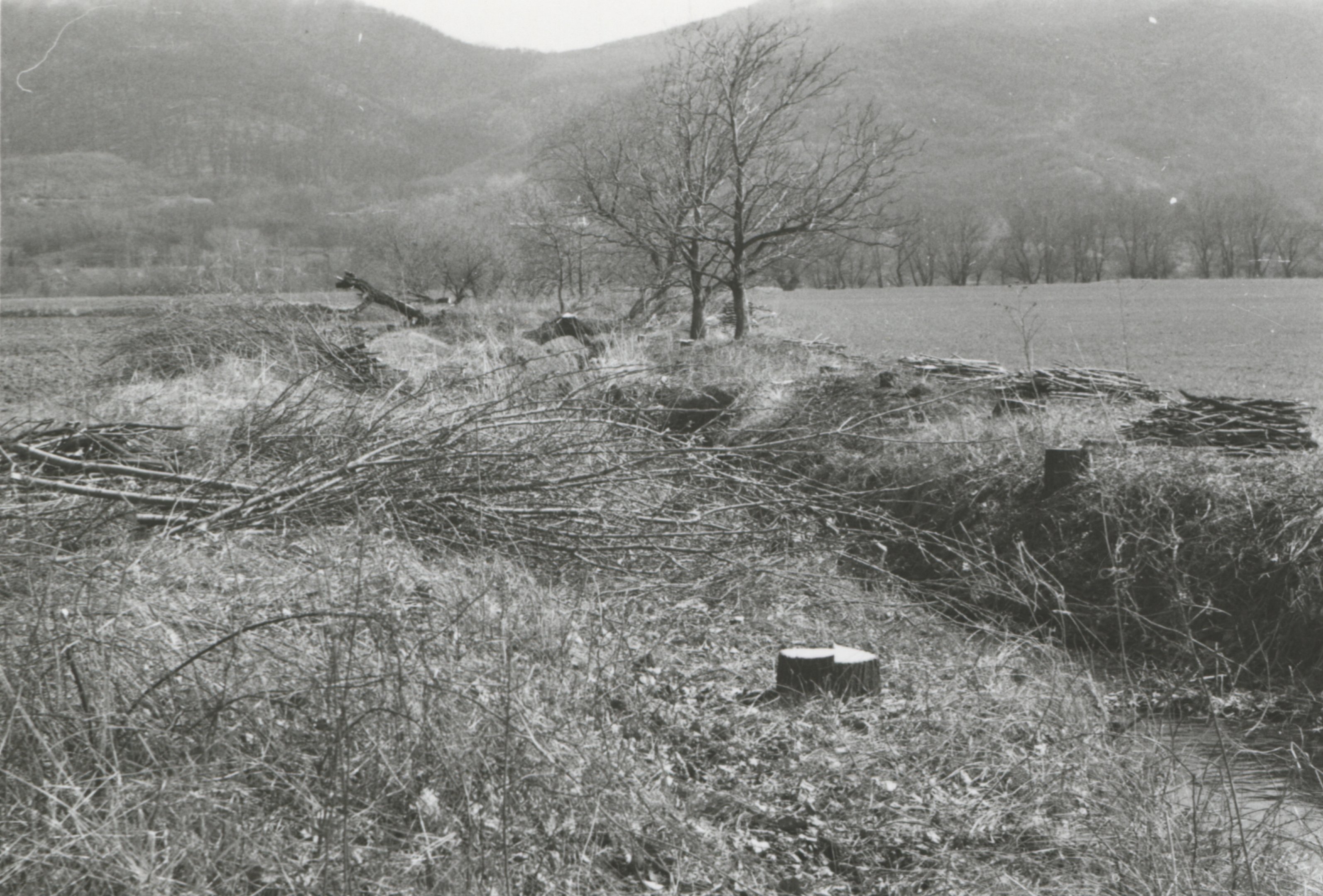 Kesztölc - Malomvölgyi-patak, 1968 (Magyar Környezetvédelmi és Vízügyi Múzeum - Duna Múzeum CC BY-NC-SA)