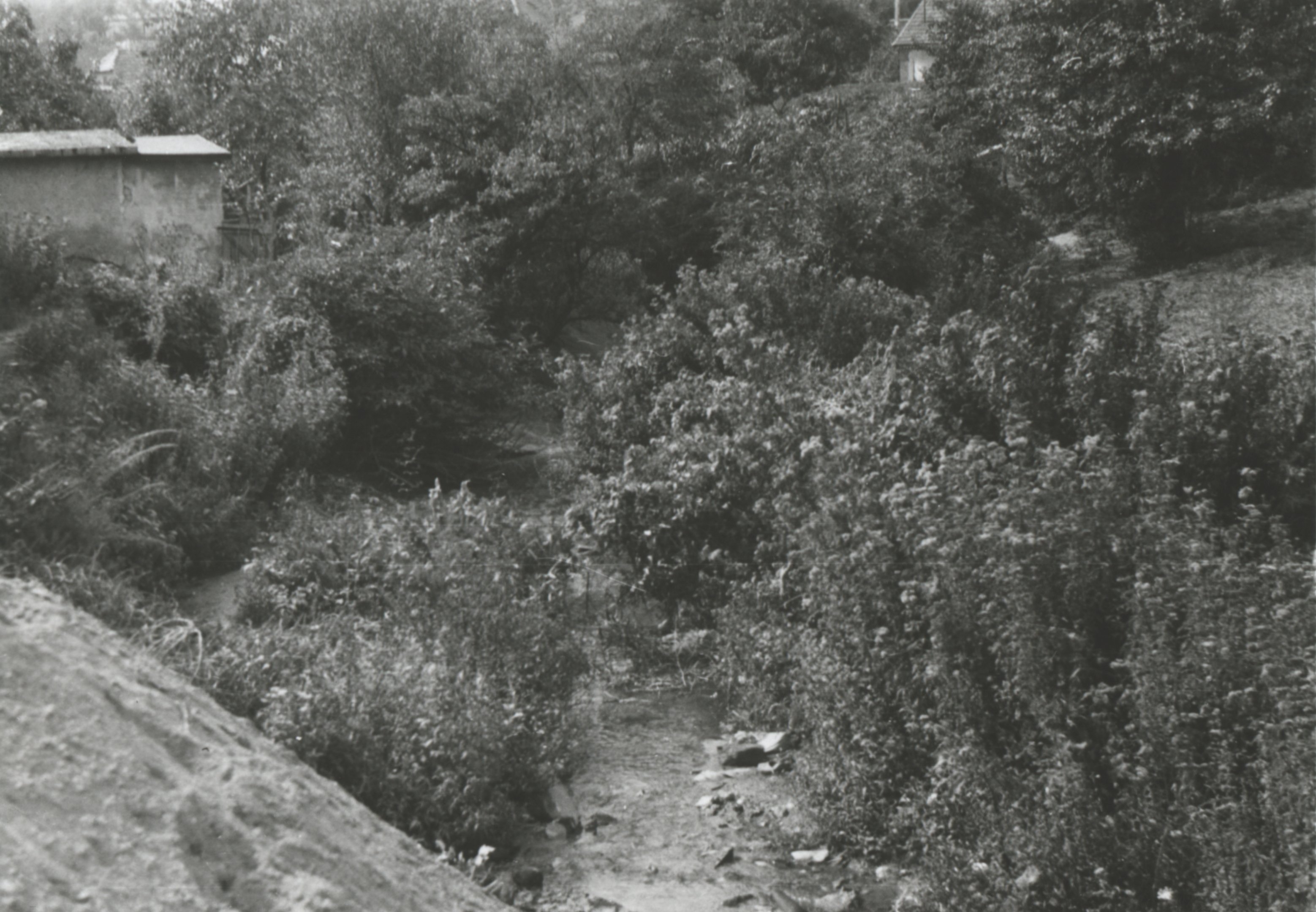 Csolnok - Janza-patak, 1968 (Magyar Környezetvédelmi és Vízügyi Múzeum - Duna Múzeum CC BY-NC-SA)