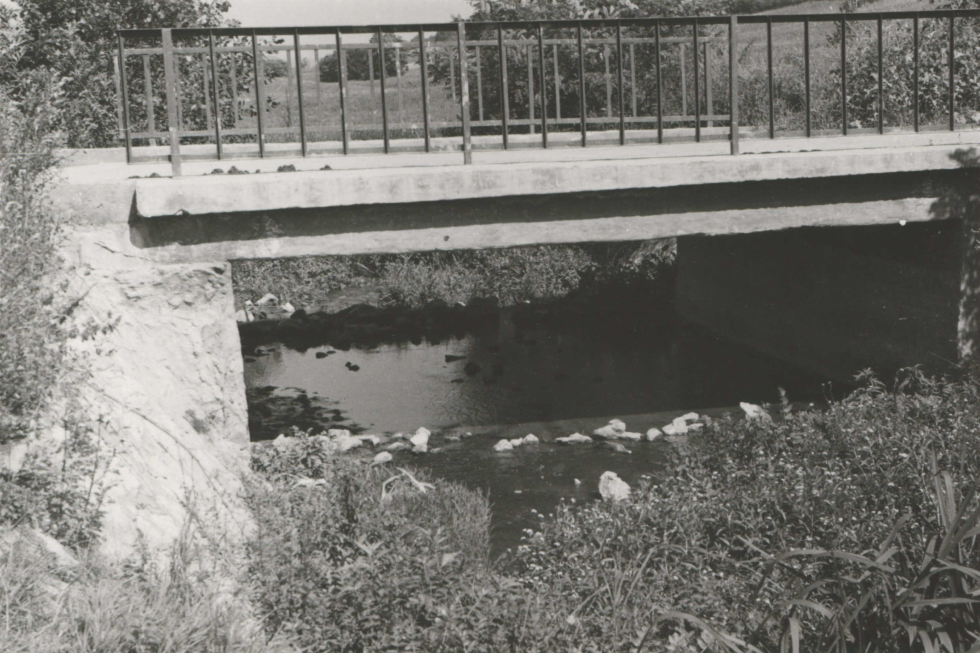 Bajna - Csapási híd, 1971 (Magyar Környezetvédelmi és Vízügyi Múzeum - Duna Múzeum CC BY-NC-SA)