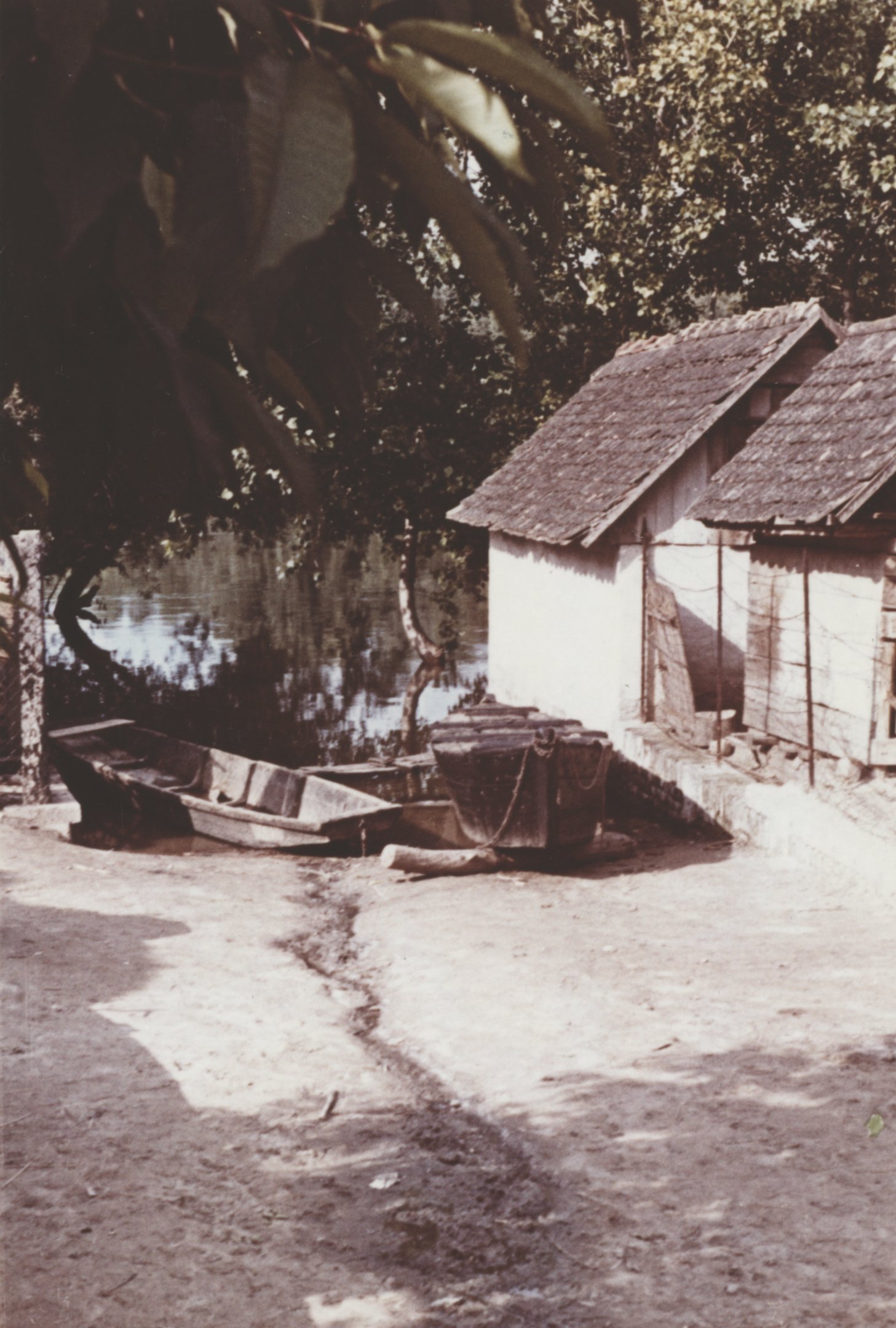 Bátai kép a dunai árvíz idején, 1965 (Magyar Környezetvédelmi és Vízügyi Múzeum - Duna Múzeum CC BY-NC-SA)