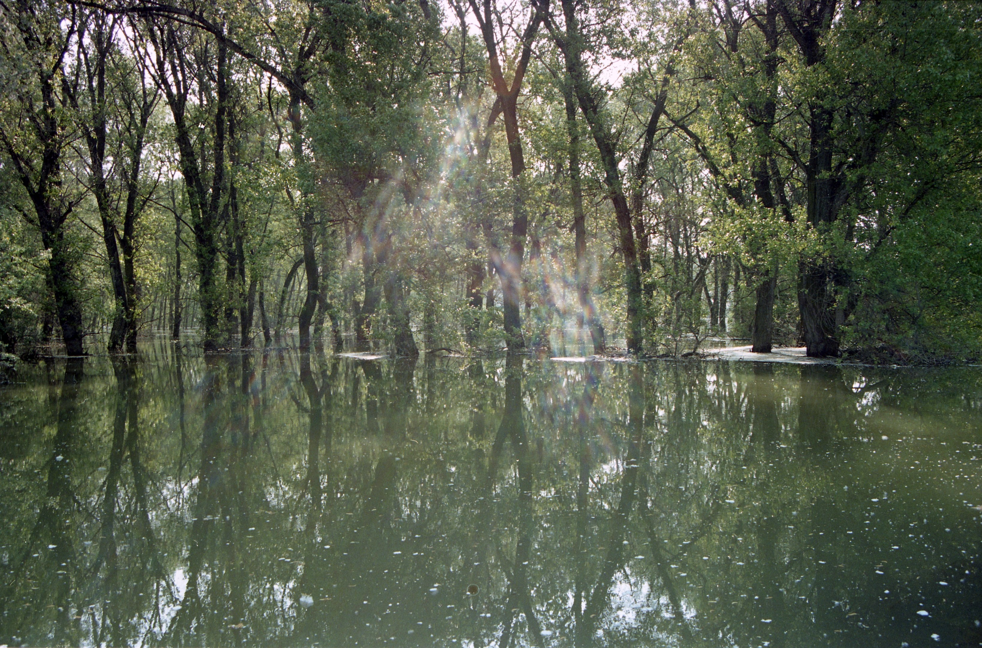 2000. évi árvíz a Tiszán - Nagykörű (Magyar Környezetvédelmi és Vízügyi Múzeum - Duna Múzeum CC BY-NC-SA)