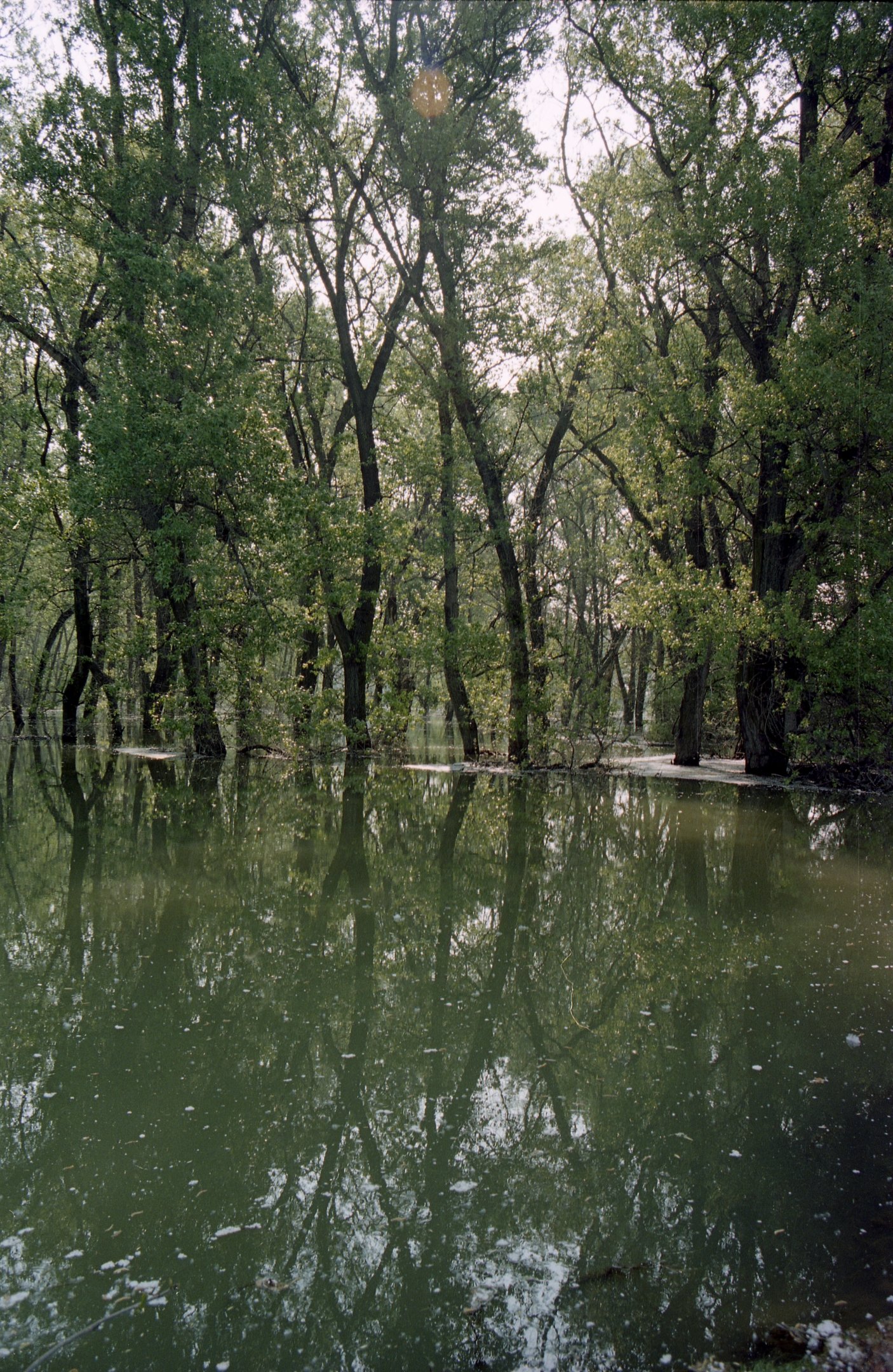 2000. évi árvíz a Tiszán - Nagykörű (Magyar Környezetvédelmi és Vízügyi Múzeum - Duna Múzeum CC BY-NC-SA)