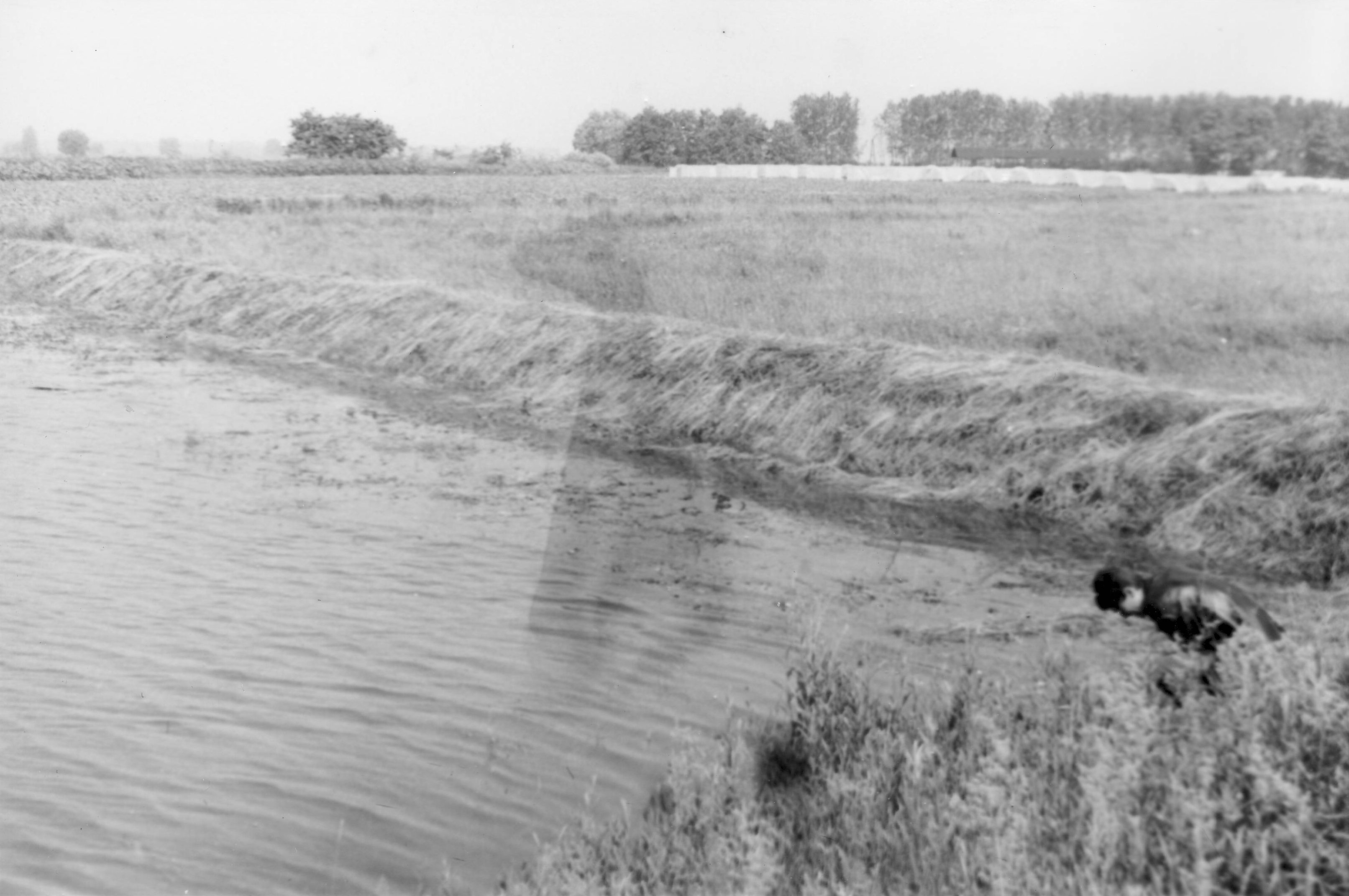 Drávai árvíz, 1972. június - Felsőszentmártoni nyári gát (Magyar Környezetvédelmi és Vízügyi Múzeum - Duna Múzeum CC BY-NC-SA)
