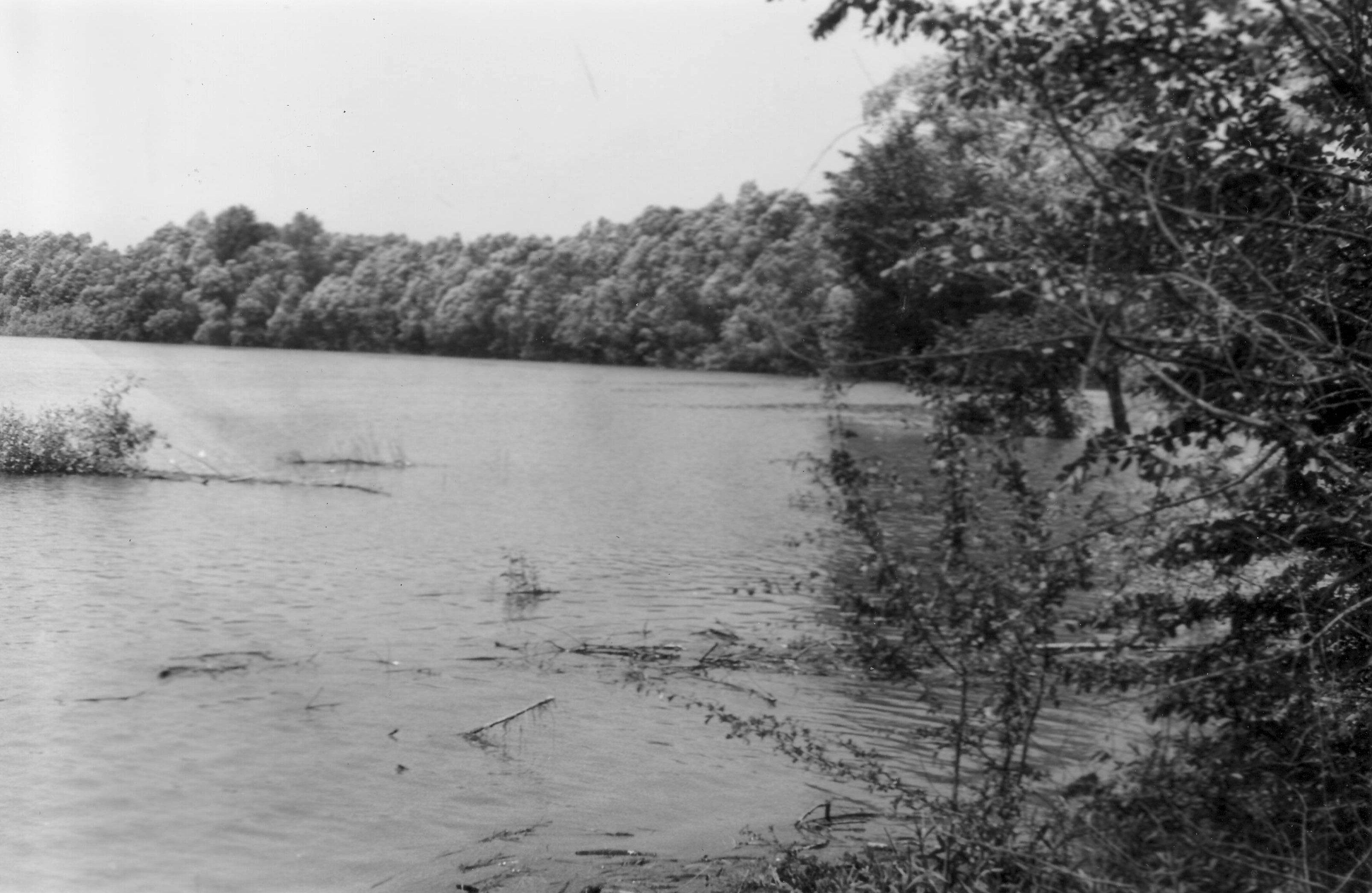 Drávai árvíz, 1972. június - Révfalu alatt (Magyar Környezetvédelmi és Vízügyi Múzeum - Duna Múzeum CC BY-NC-SA)